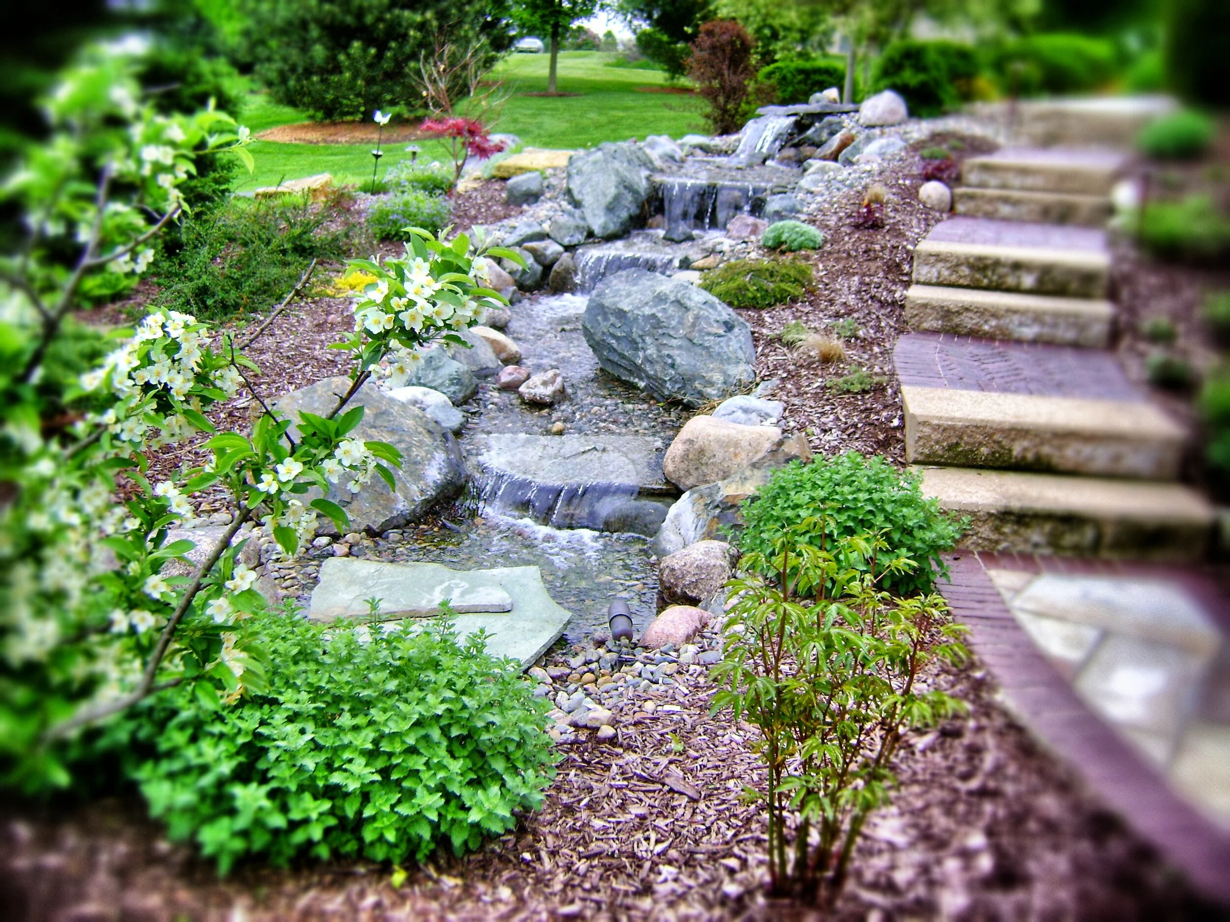 A garden with various plants and shrubs, a small artificial waterfall cascading over rocks, a stone pathway on the right, and a well-maintained grassy lawn with trees in the background.
