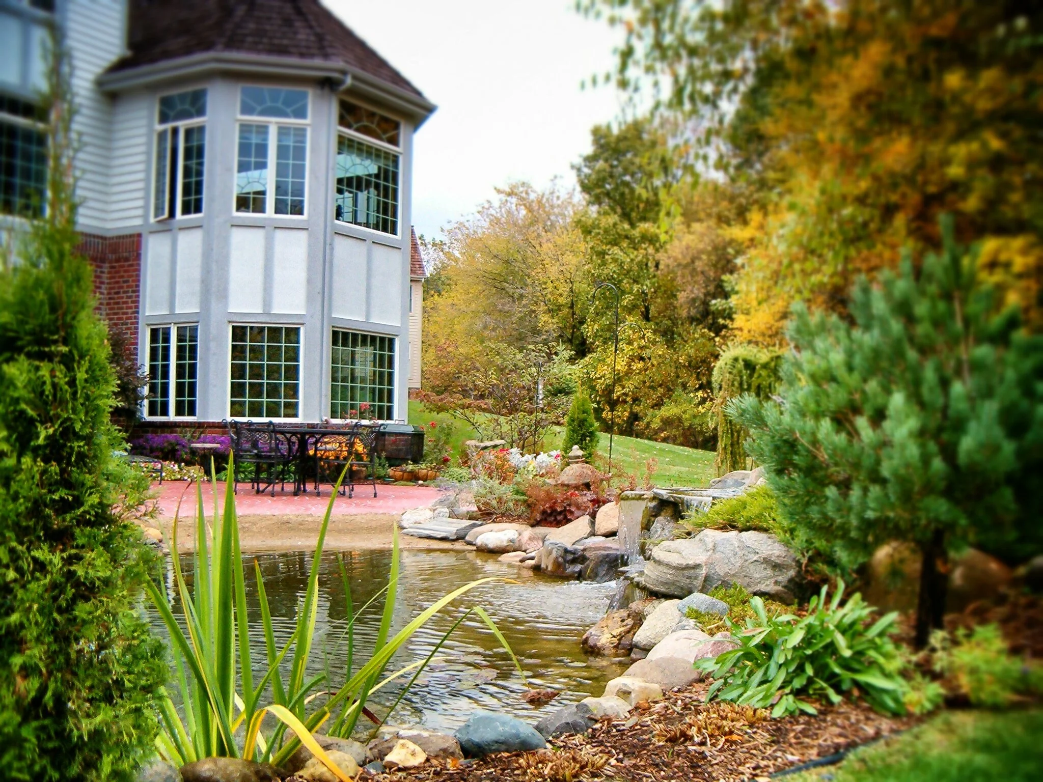 A garden with a pond, rocks, plants, and trees with autumn leaves, with a house in the background.