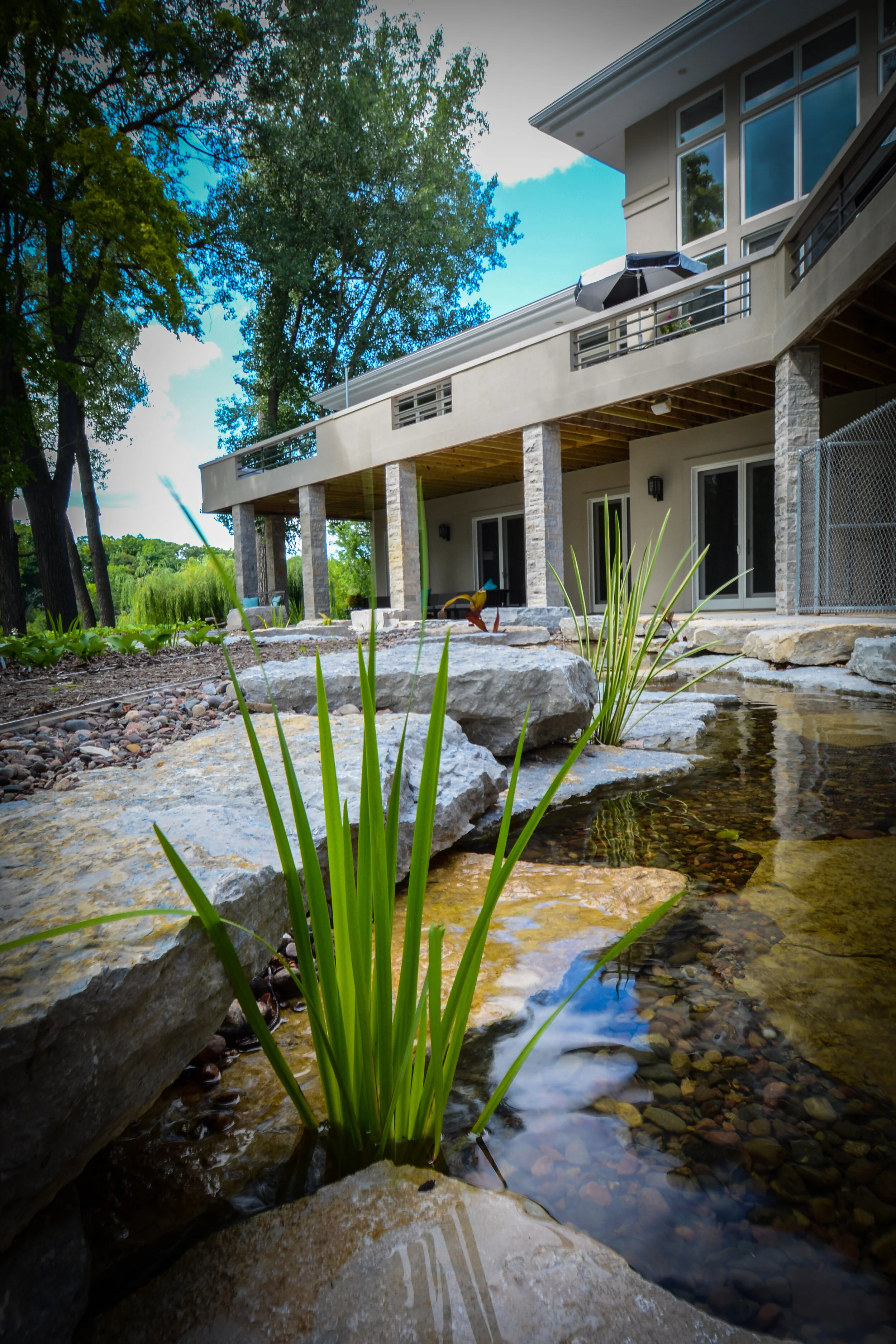 Backyard view of a modern house with large windows and a balcony, surrounded by tall trees, and a small stream with rocks and green plants in the foreground.