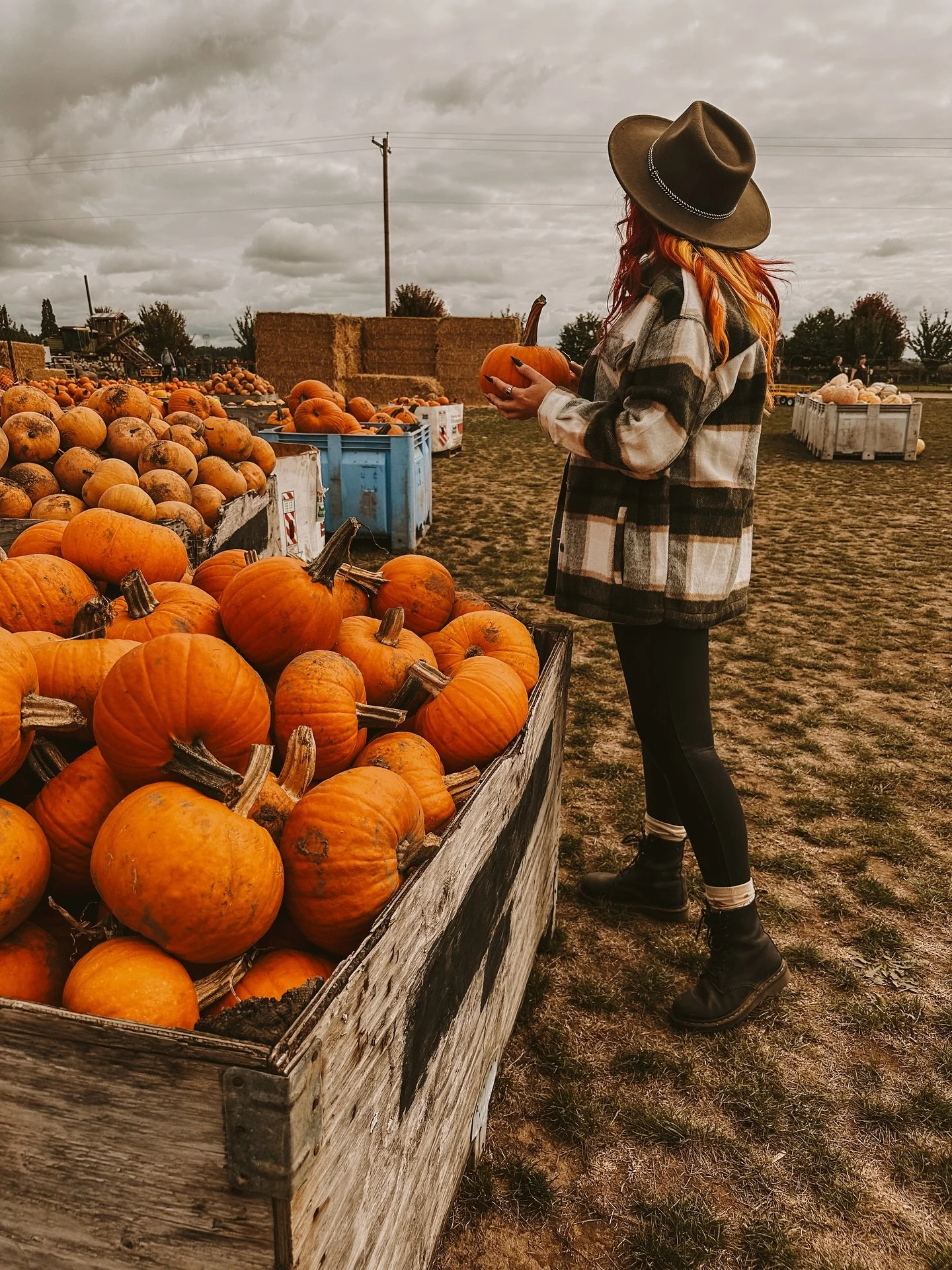 Pumpkin season: activated 🎃
Give me all the moody overcast skies, cozy flannels, and colorful trees. This is my favorite day of the year! Pumpkin patch day!

#FallInThePNW #CozySeason #MoodyAesthetic #OctoberFeels #autumn 

Pumpkin &bull; pumpkin pa