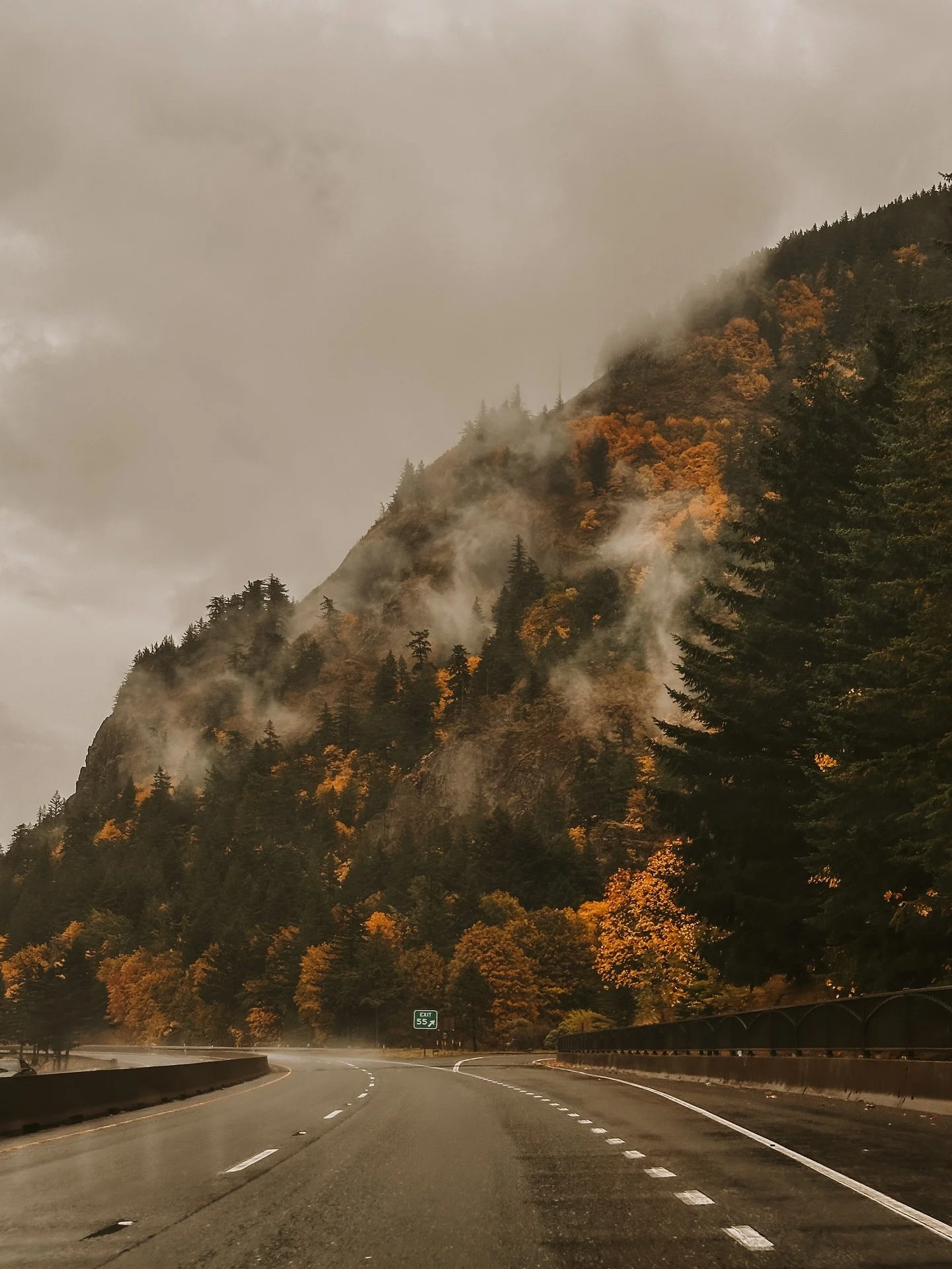 When I tell you the Pacific Northwest is a vibe&hellip; this is exactly what I mean. 🌲🍁
Fog rolling through the evergreens, golden leaves blanketing the ground, and that quiet stillness that only happens during the rain. 100% Twilight vibes. 

Ther