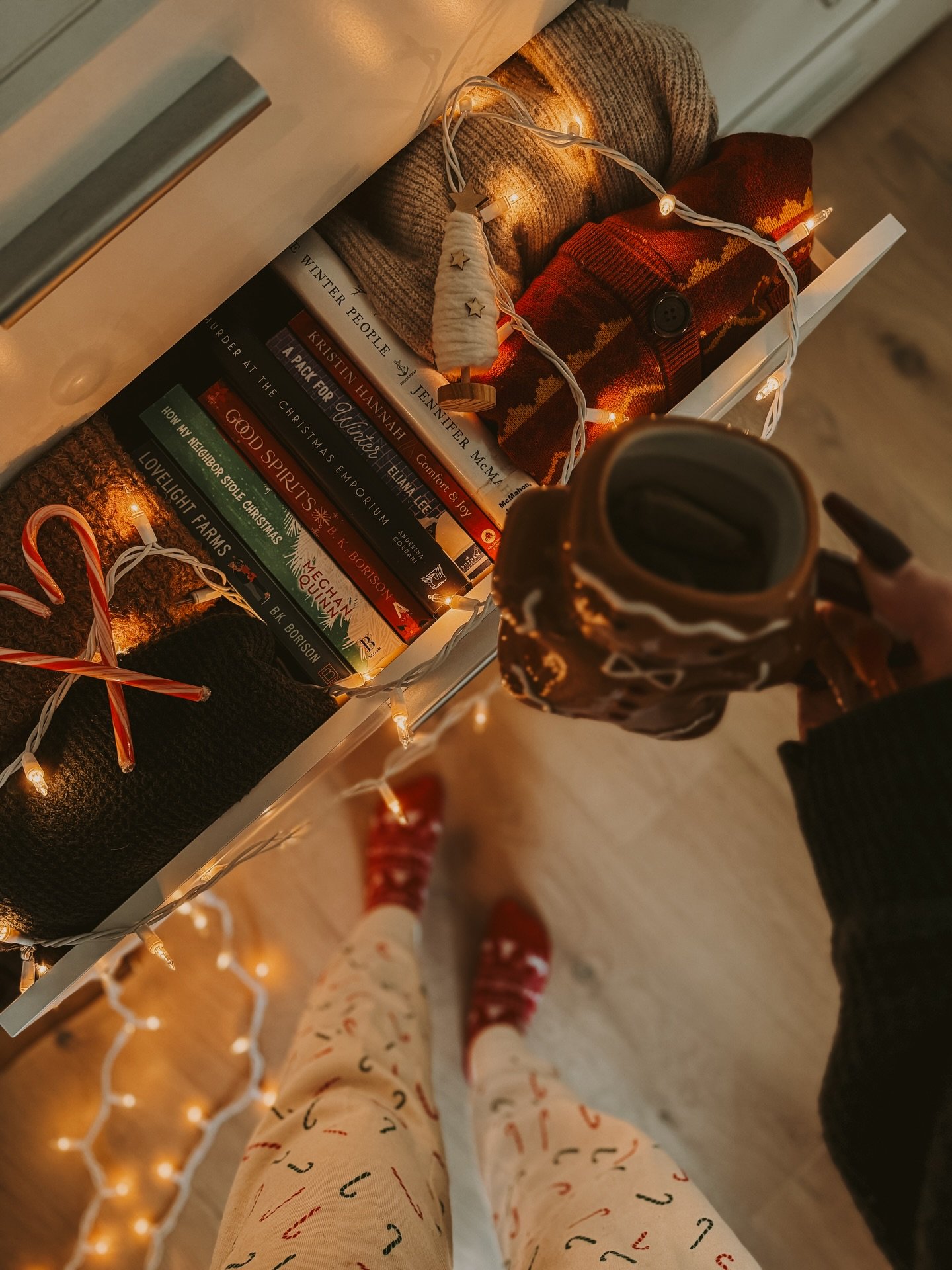 Are you someone who likes to read holiday books all season or just in December? These are some of my favorite holiday books and also some that are on my Winter TBR. I know it&rsquo;s not winter(yet) but I&rsquo;m starting early since this season is s
