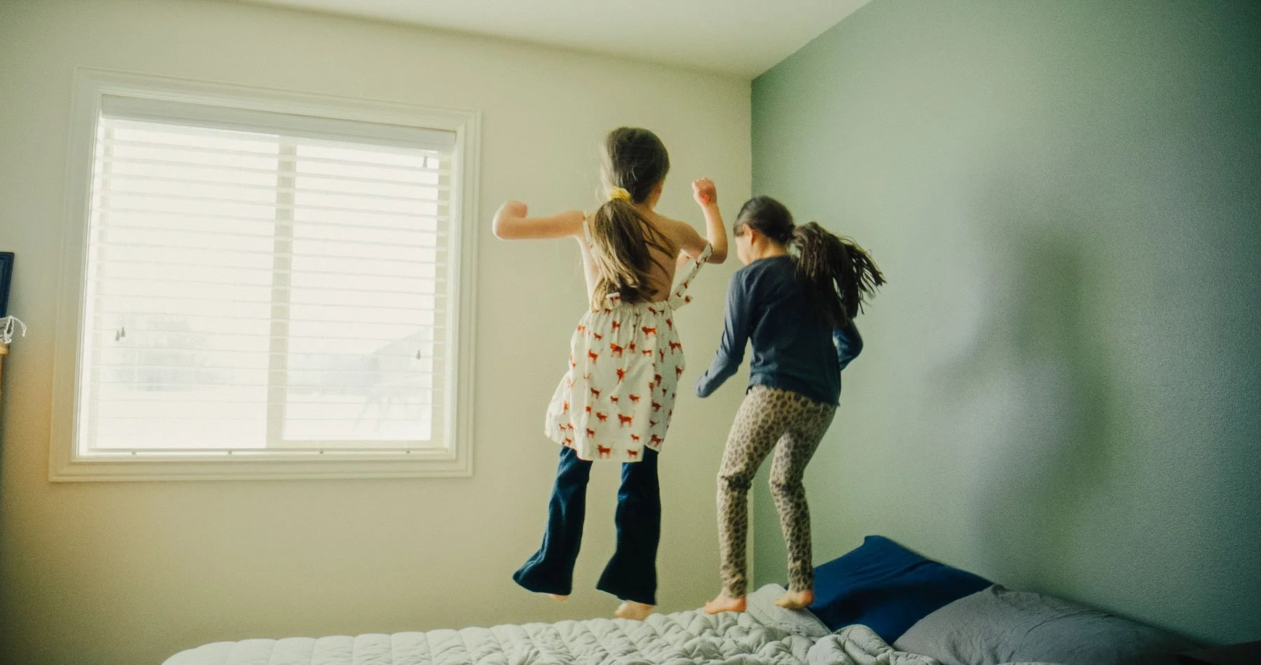 Still 2026-02-02 210929_1.34.1.jpg