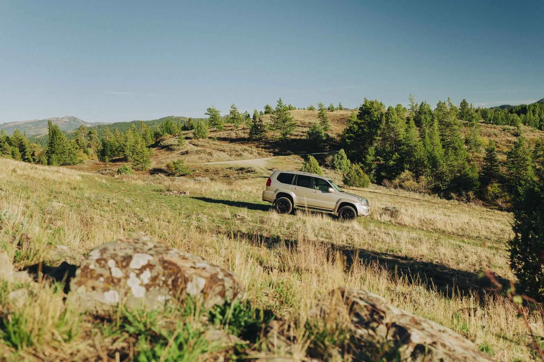 Silver Lexus GX 470 on a grassy two-track through rolling, pine-covered hills.