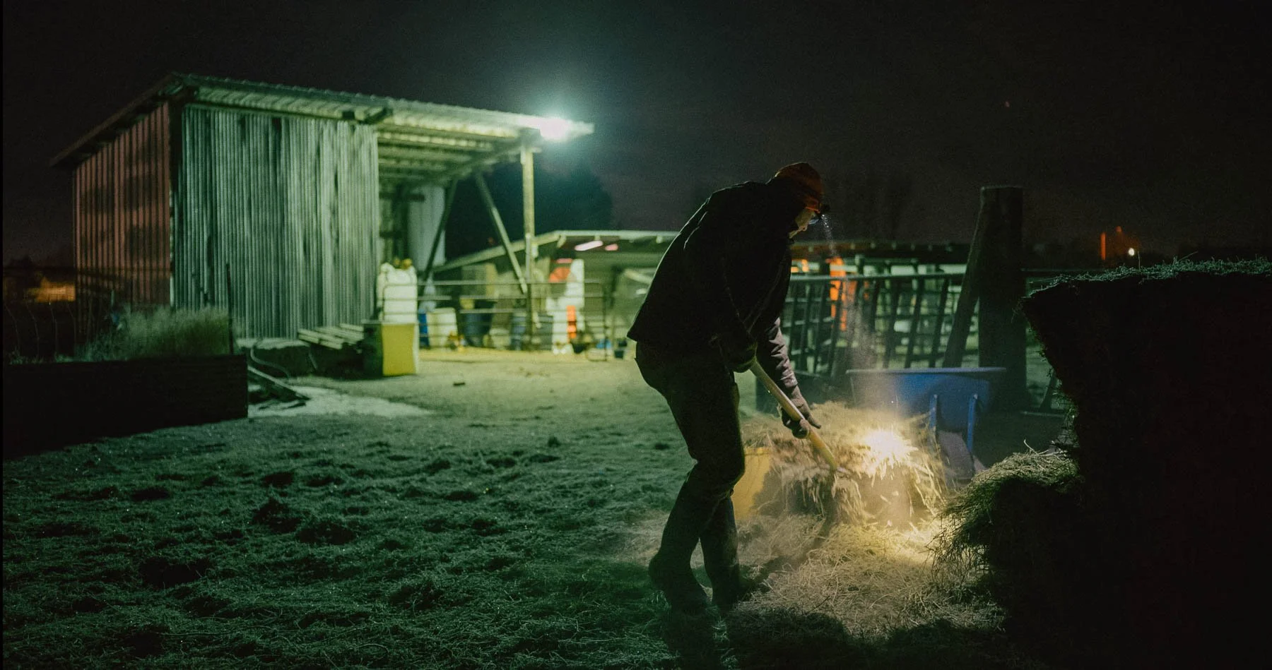 Still 2026-02-02 210929_1.4.2.jpg