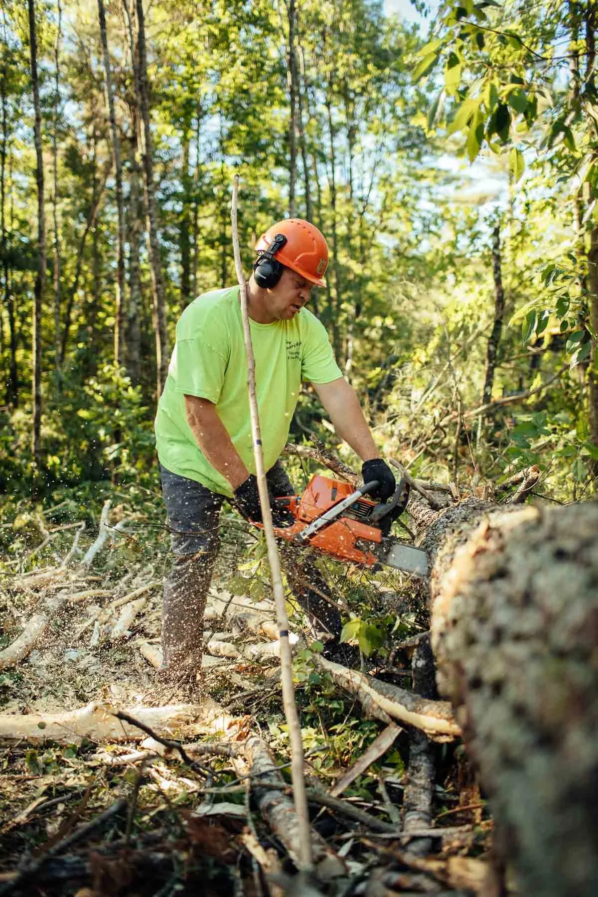 TDR_220622_GeneFrederickson-Logging_922.jpg