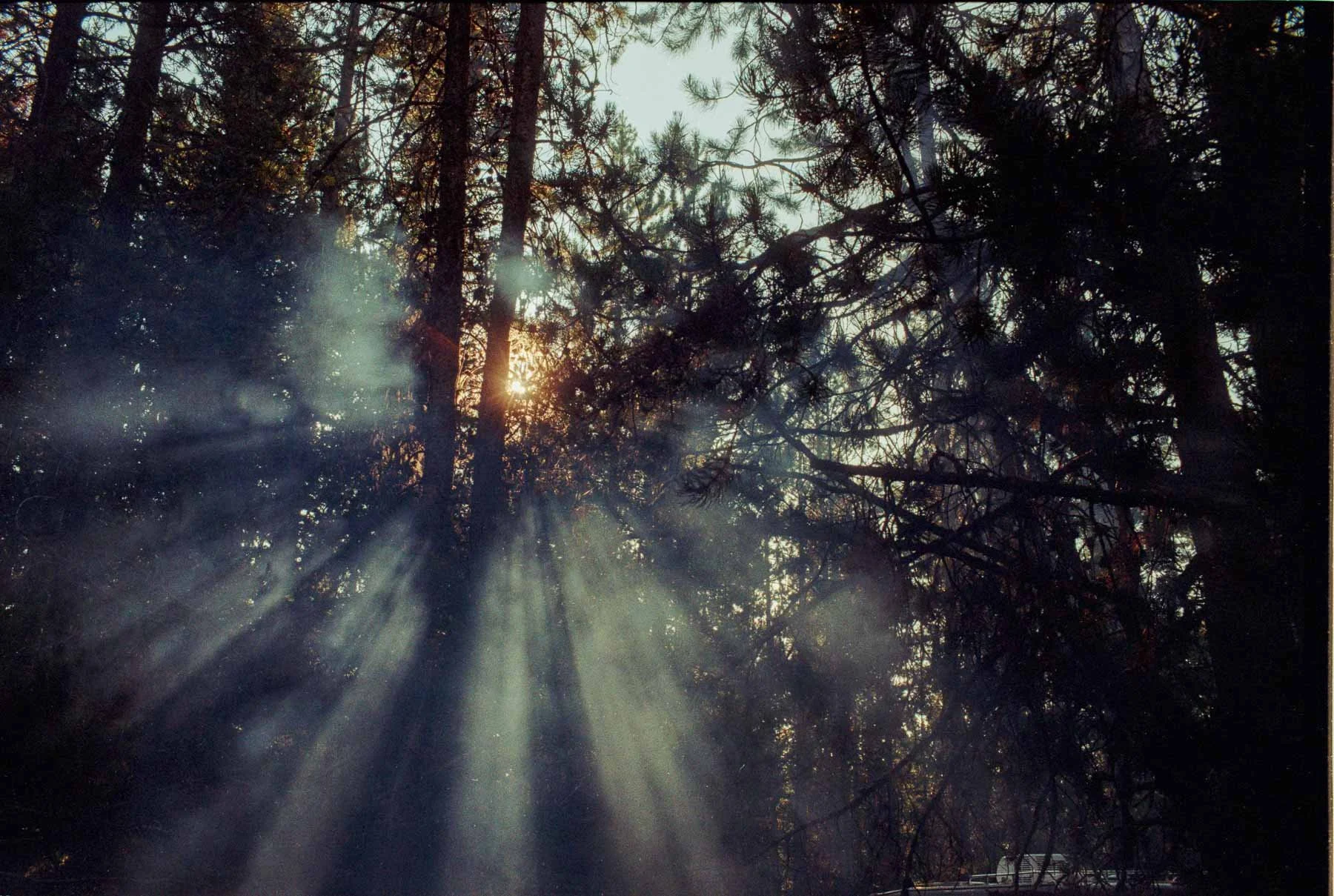 2024_JacksonHole (12).jpg