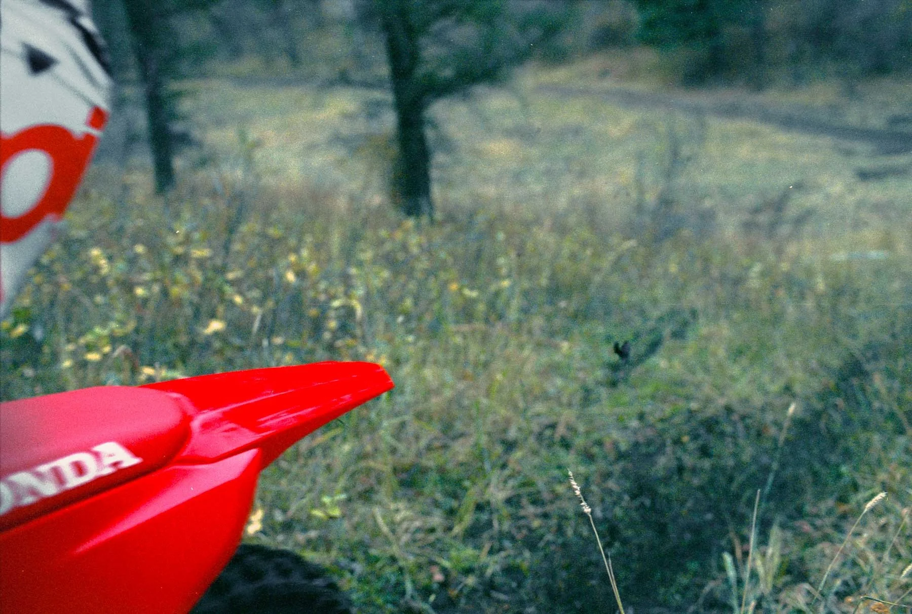 Ankuur_PocatelloPowerSports_12.jpg