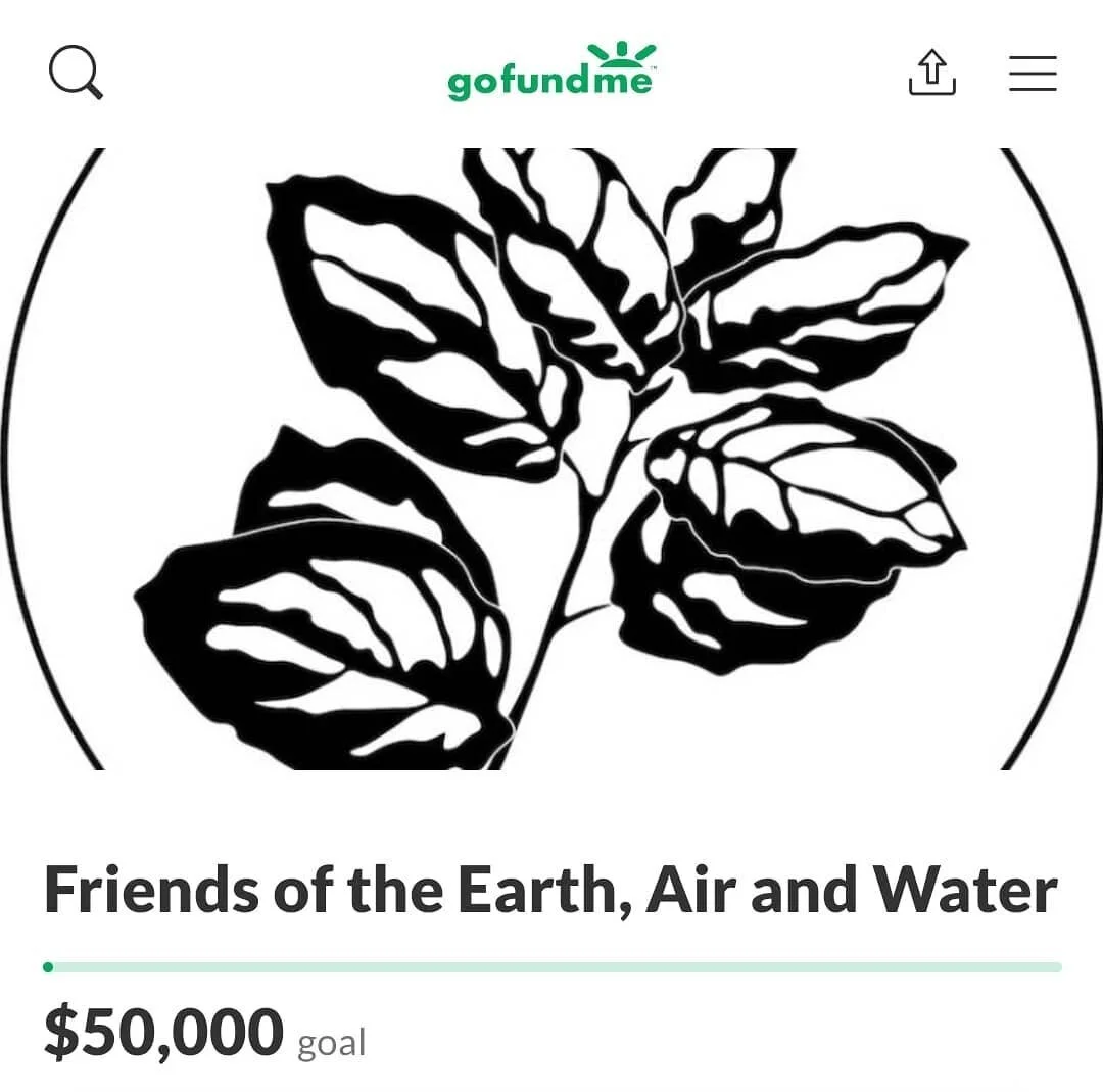 We have a website, office space and a core group of dedicated organizers but we need your help! We hope to get a billboard *right on site of the development of an environmental danger* as well as lawyers which costs big $$$ but you, the People of Sou