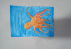 octopus - Gloria Wai.PNG