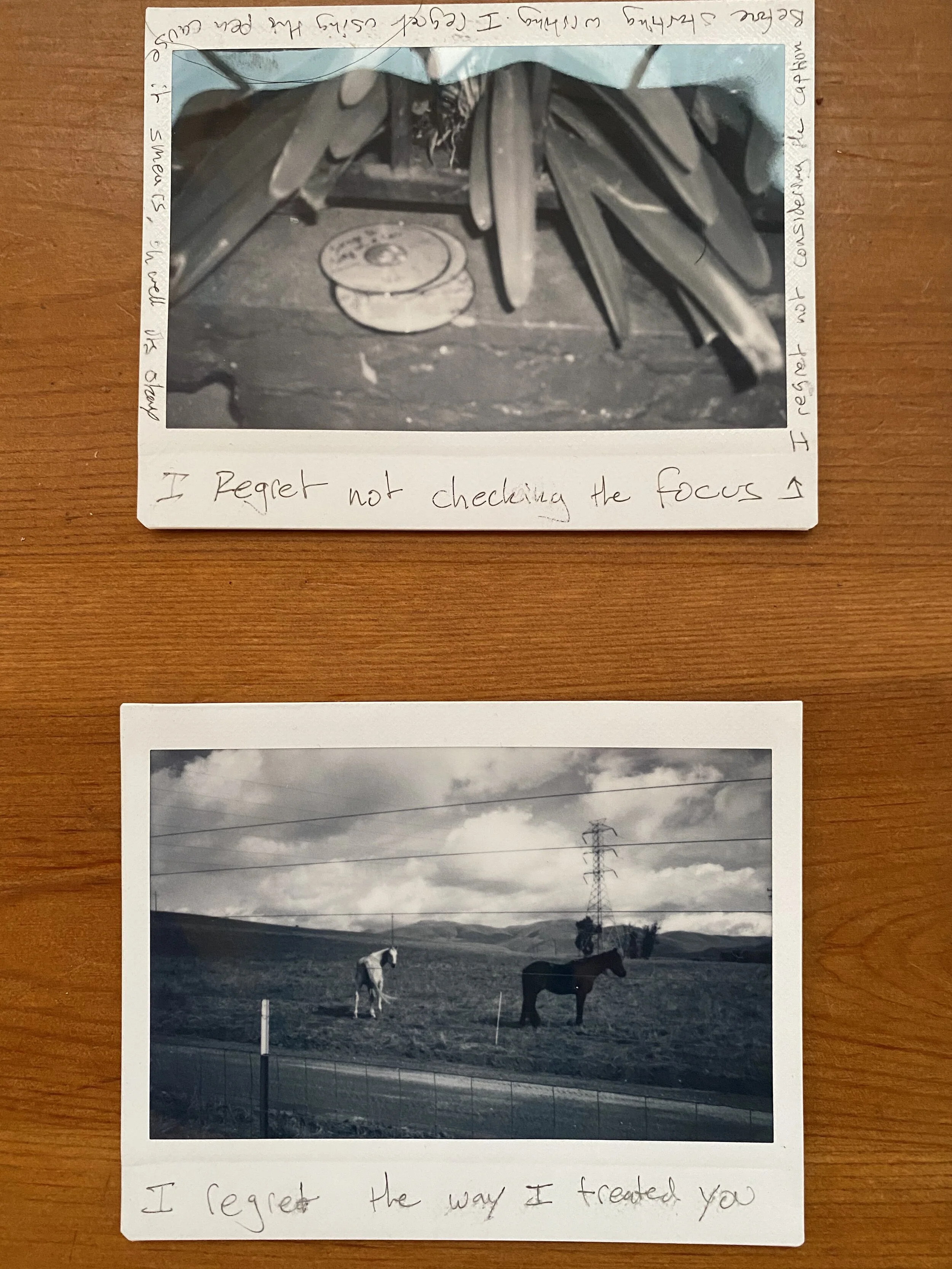 regrets w horse - .jpeg