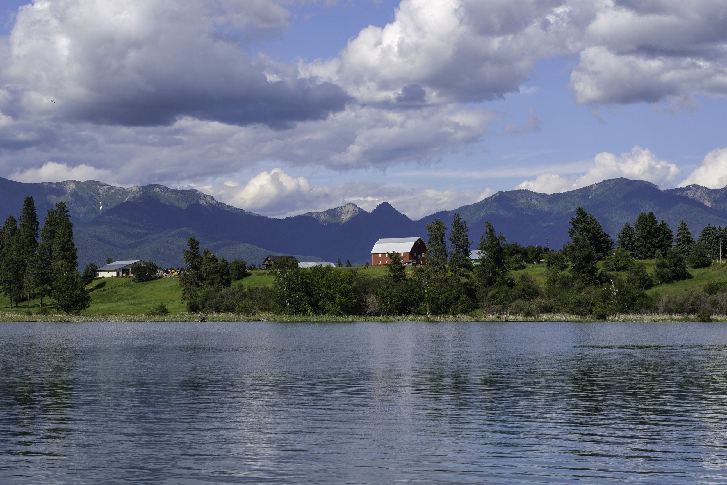 Up the Flathead River