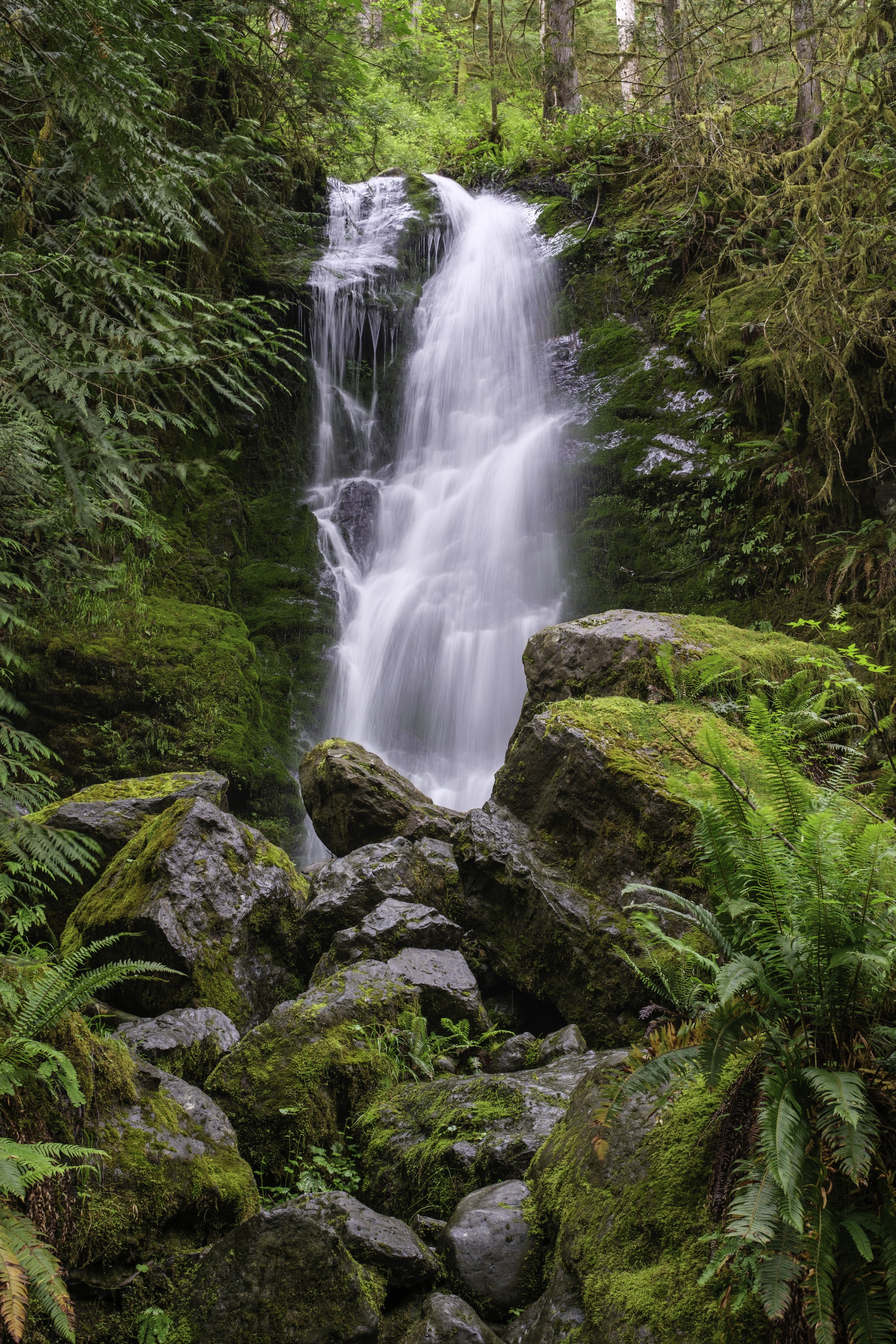 Olympic National Park