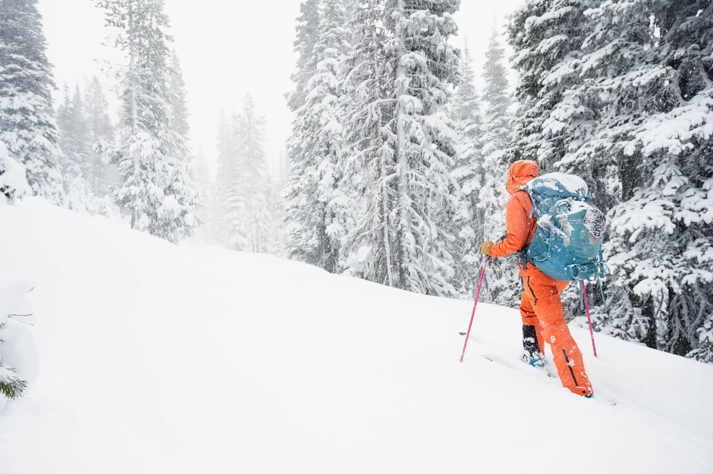 OPEN: Director of Shred