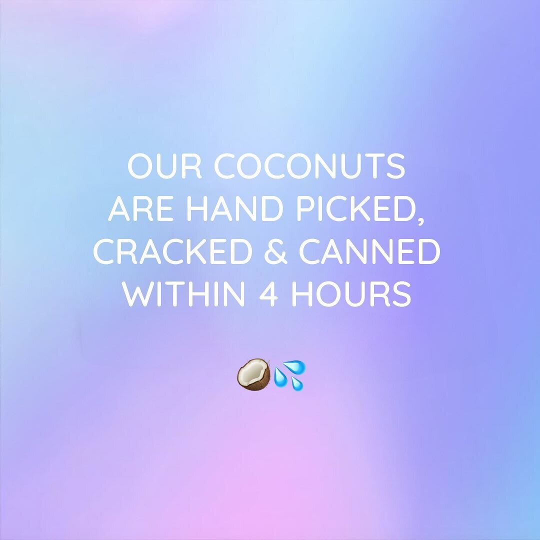 We wanted to work with suppliers that delivered fresh and delcious produce. Knowing our coconuts are hand picked, cracked and canned within 4 hours with zero preservatives, you can't beat that quality. 🥥🌴💦

#beyond #beyondcoconutwater #coconutwate