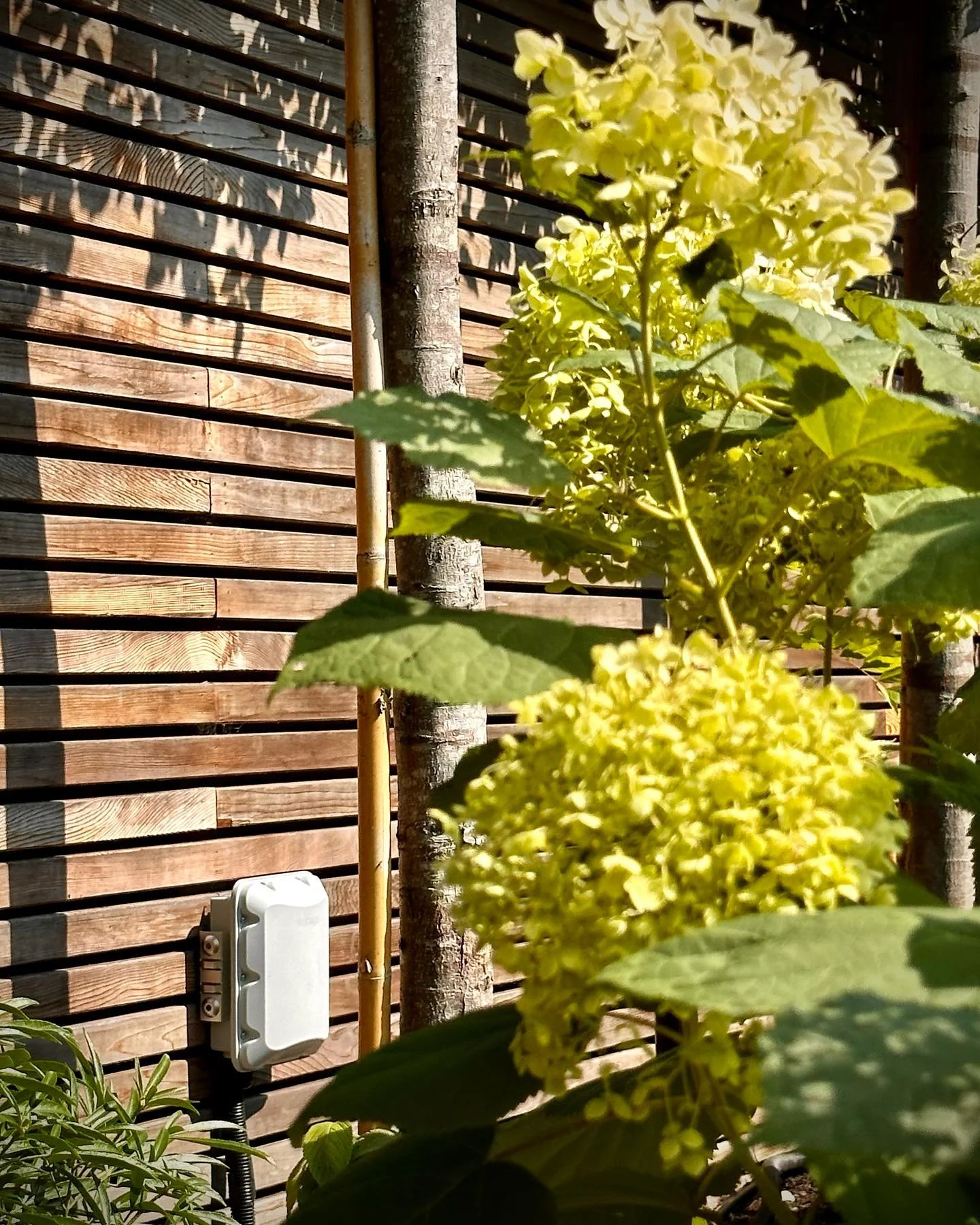 WiFi in the garden? No problem! Take your work and entertainment outside in this glorious weather. Here we&rsquo;ve got a high performance Ruckus outdoor Wi-Fi 6 access point providing extended Wi-Fi coverage to the whole of our client&rsquo;s garden