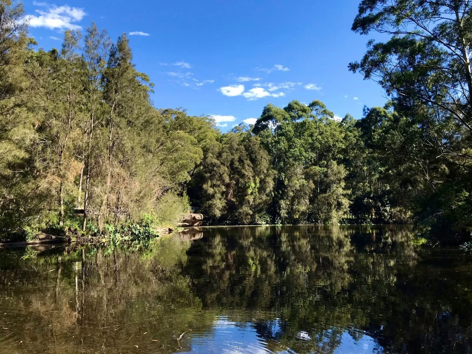 Friends of Lane Cove NP
