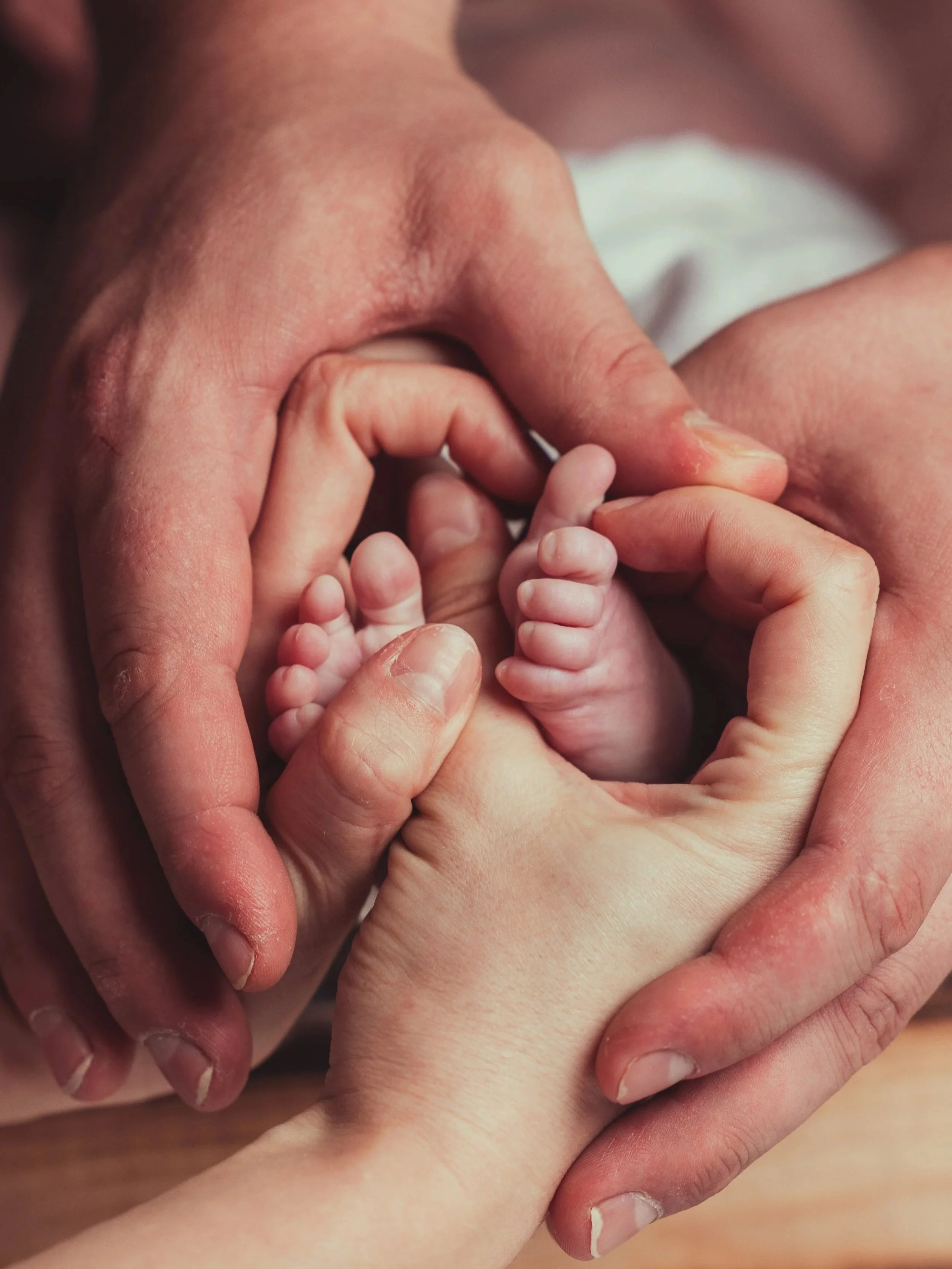 Baby & Newborn Fotografie, Fotograf, Bonn, Detailaufnahme Füße und Hände