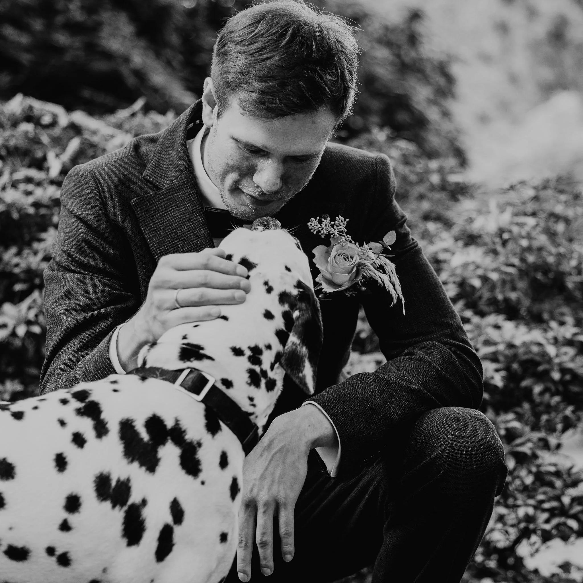 Tierfotografie in Bonn von Marius Barthelmess / Bad-Godesberg / Hunde Fotos / Studio / Haustiere