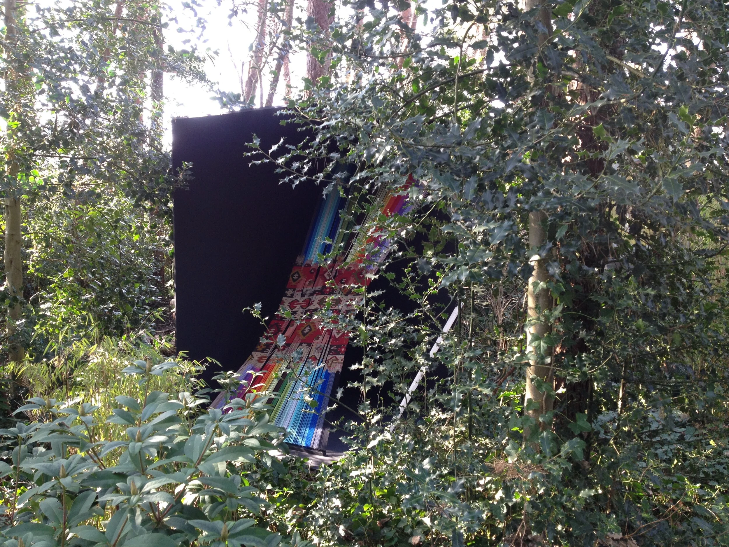 Into the Woods installation view, 2018.