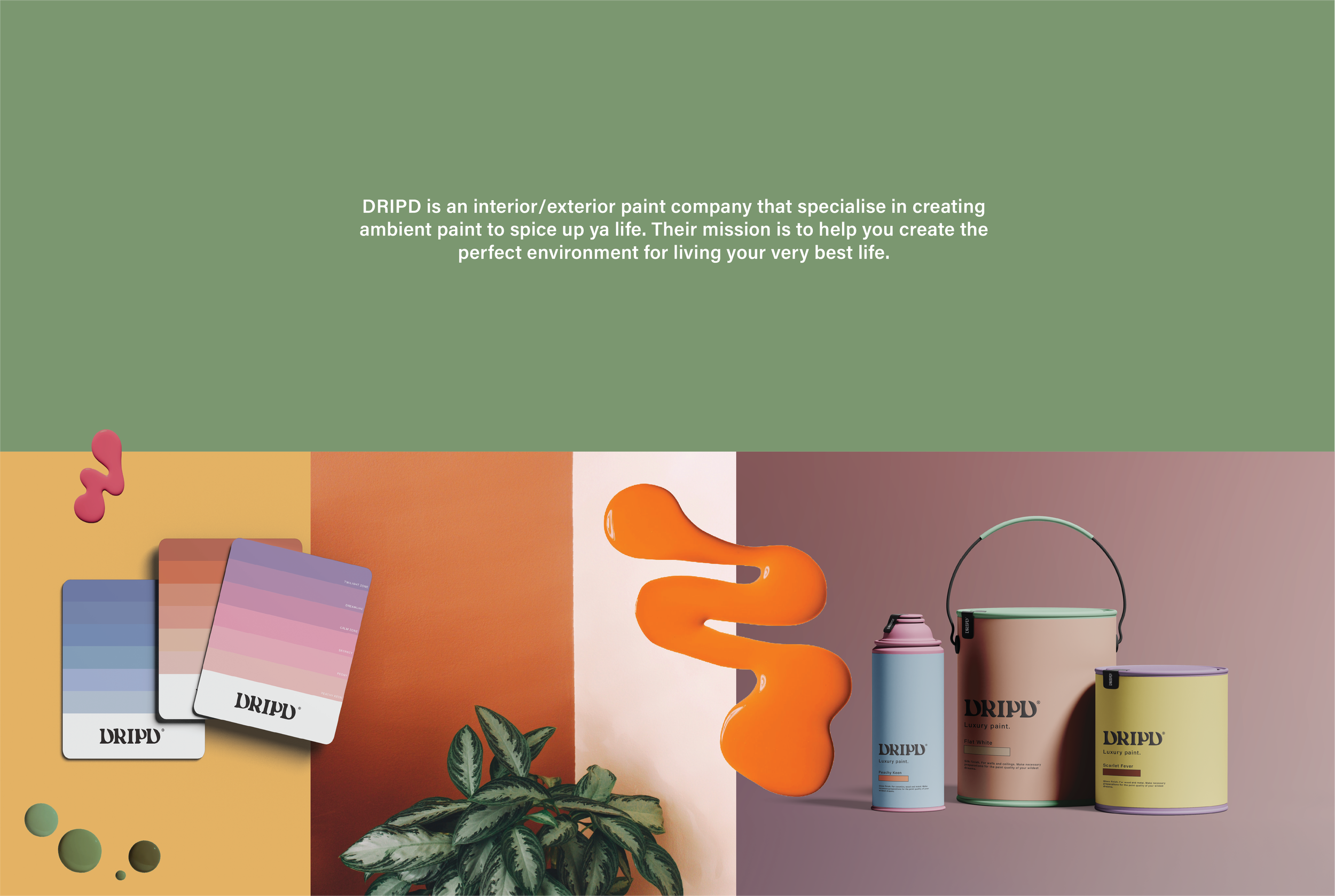 dripd-board-bio.png