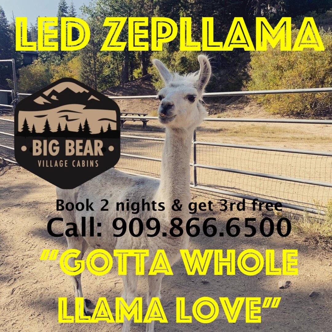 Summer love is in the air. Come visit us in Big Bear Lake and enjoy some fresh mountain air. Trails are open for some epic hiking and mountain biking or fun on the lake. We're pet friendly, 3 blocks south of the village set on two acres surrounded by