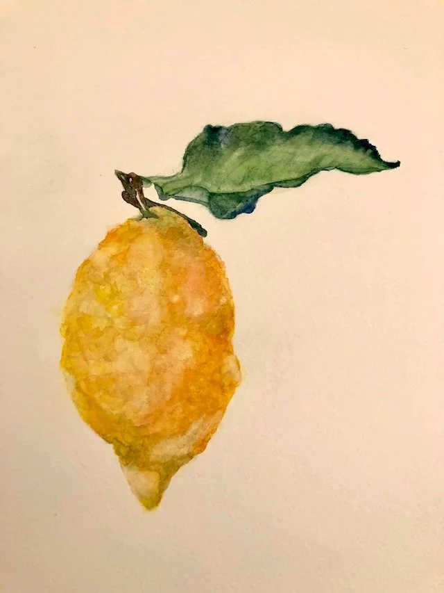 Lemon study (Watercolour) SOLD