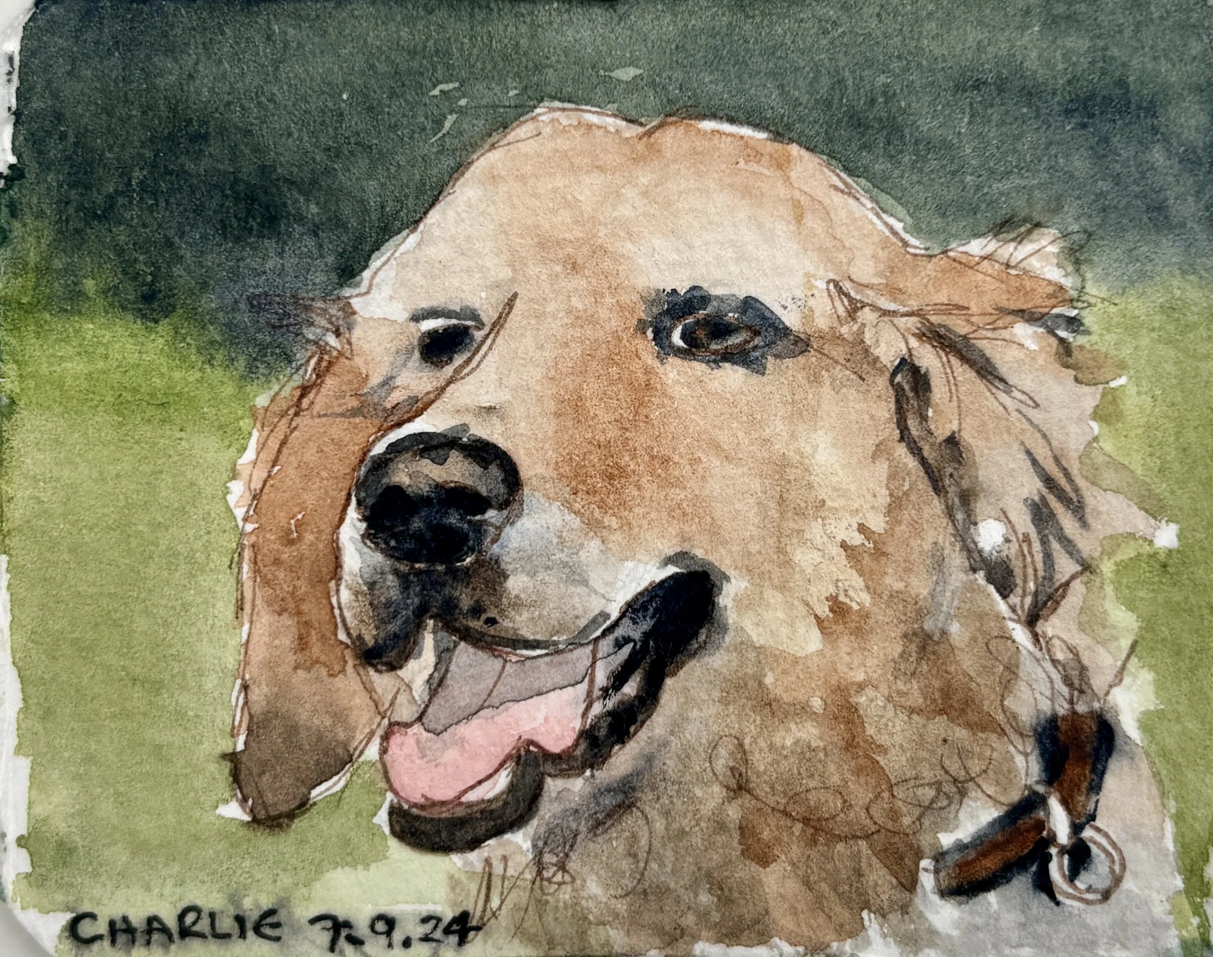 No.3 ~ Charlie  ~ 7.9.24 [6.5 × 8 cm · From my photo]