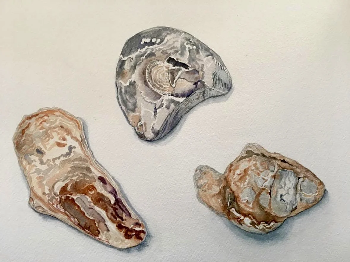 Mersea Beach Find no1, Artists private collection 