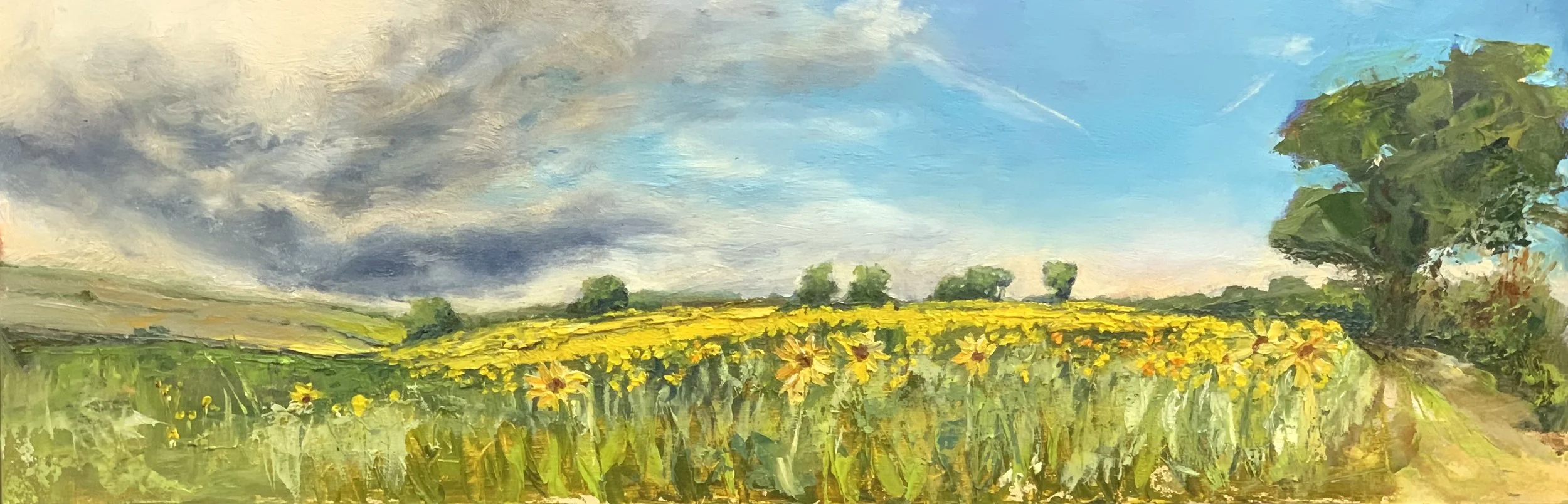 So many sunflowers, West Bergholt, Oil. SOLD