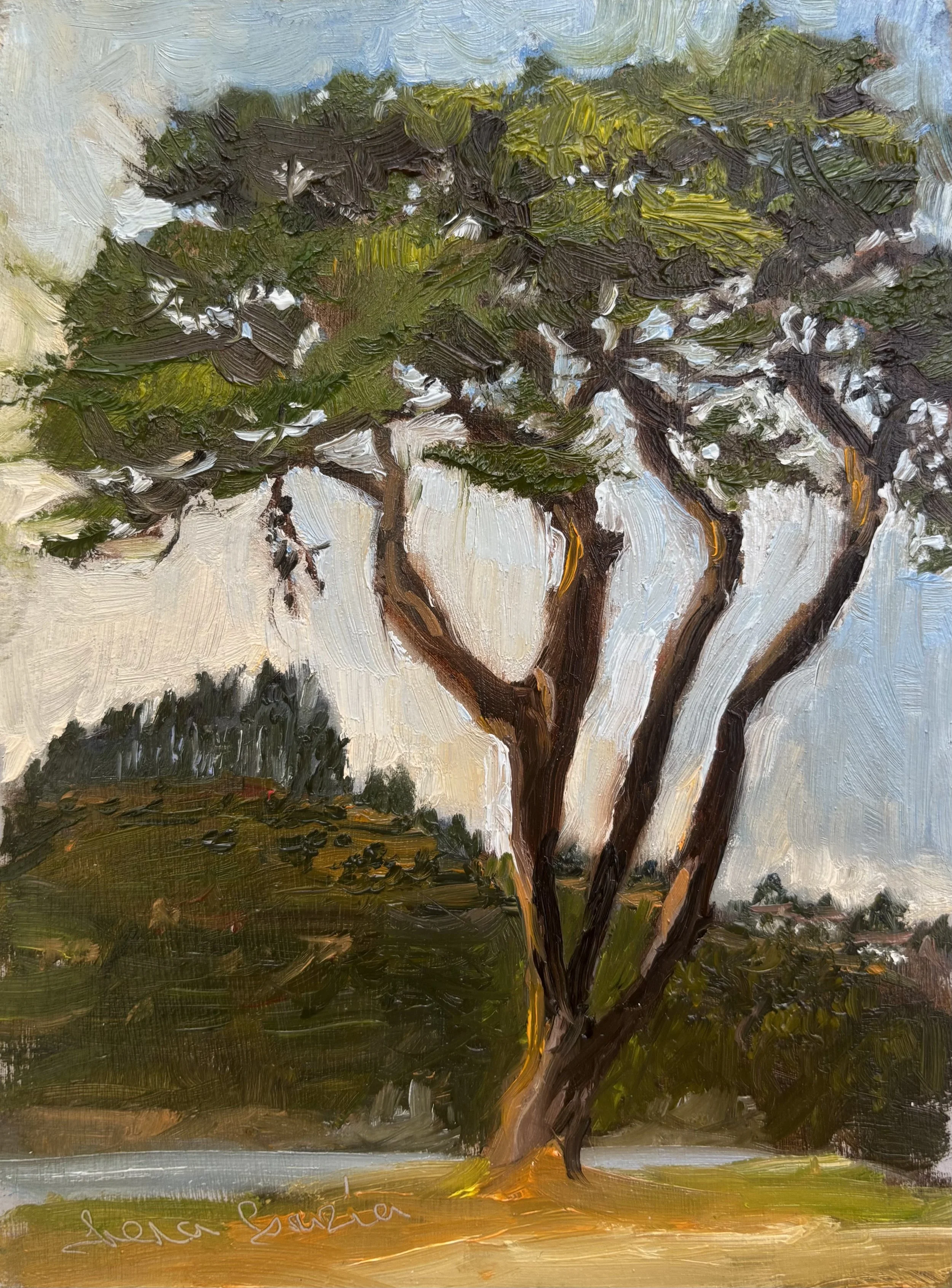 Postcards from My Paintbox No3 ~ Beresford Beauty, Passage East, County Waterford, Ireland, Oil on board, 8x6"