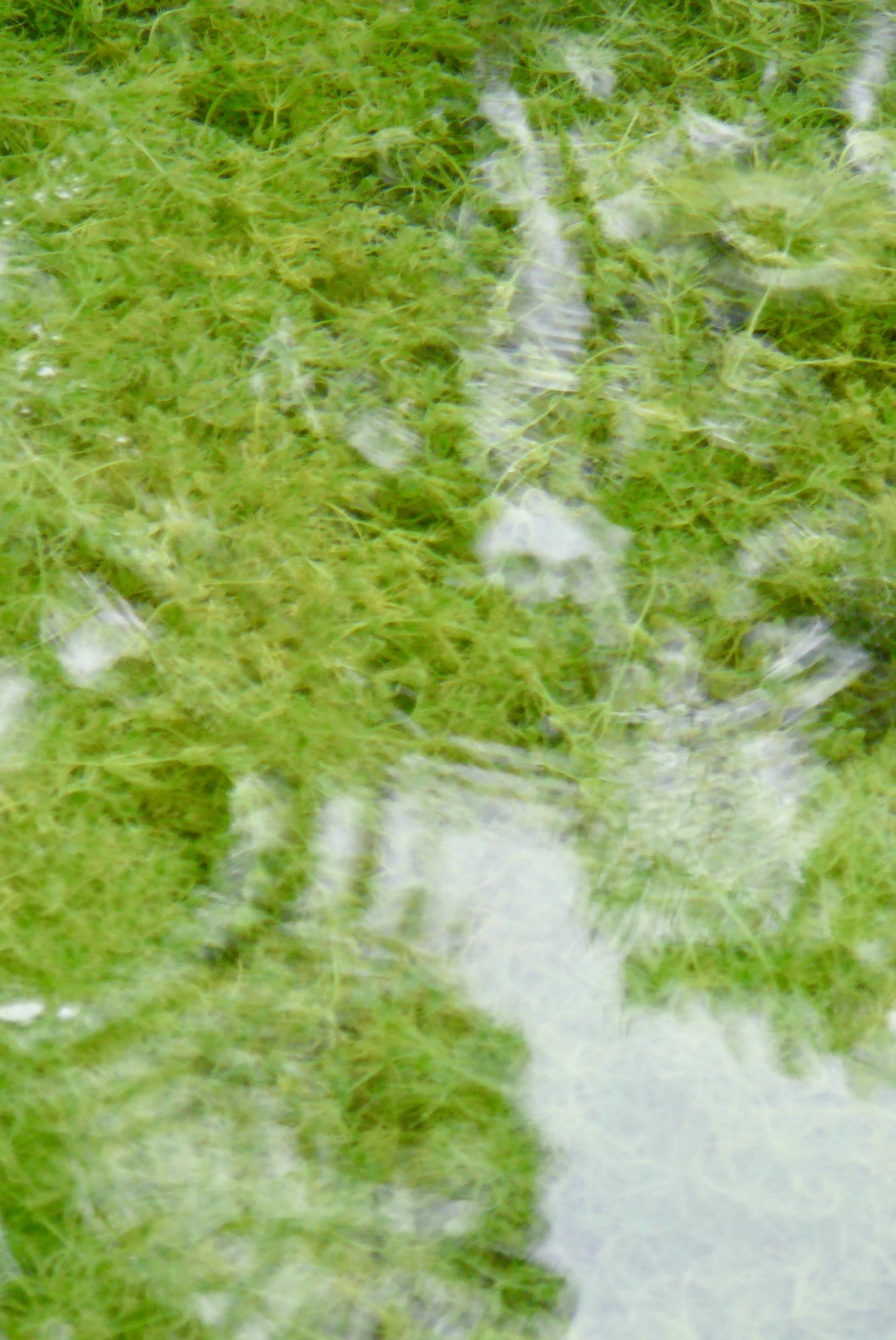 Forgotten Water- The National Trust & Riverlands Commission 2025