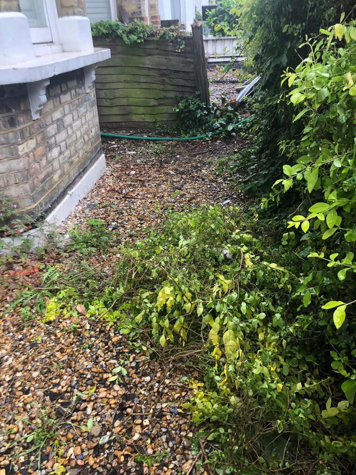 WhatsApp Image 2025-10-29 at 11.05.12.jpeg