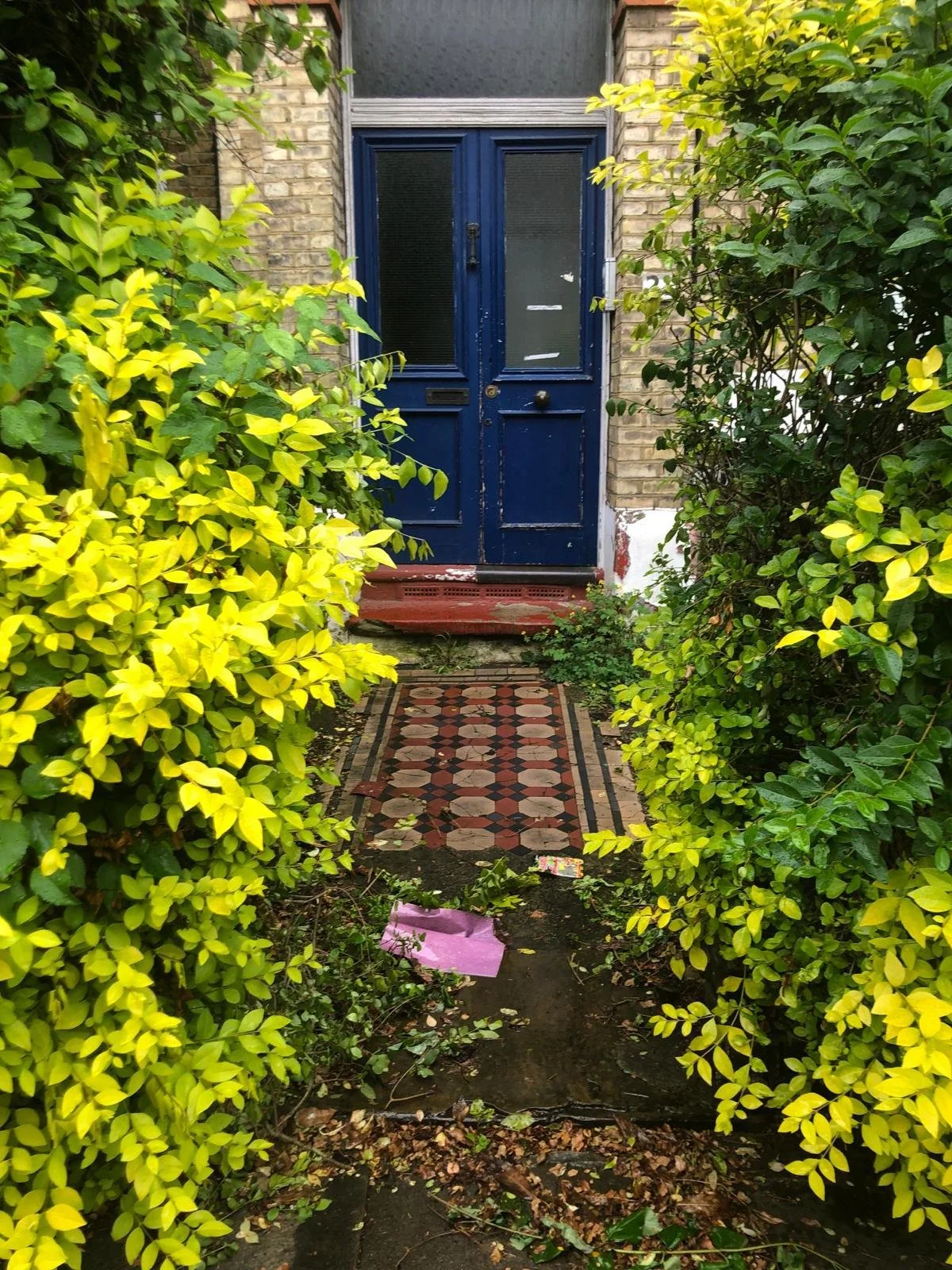 WhatsApp Image 2025-10-29 at 11.05.13.jpeg