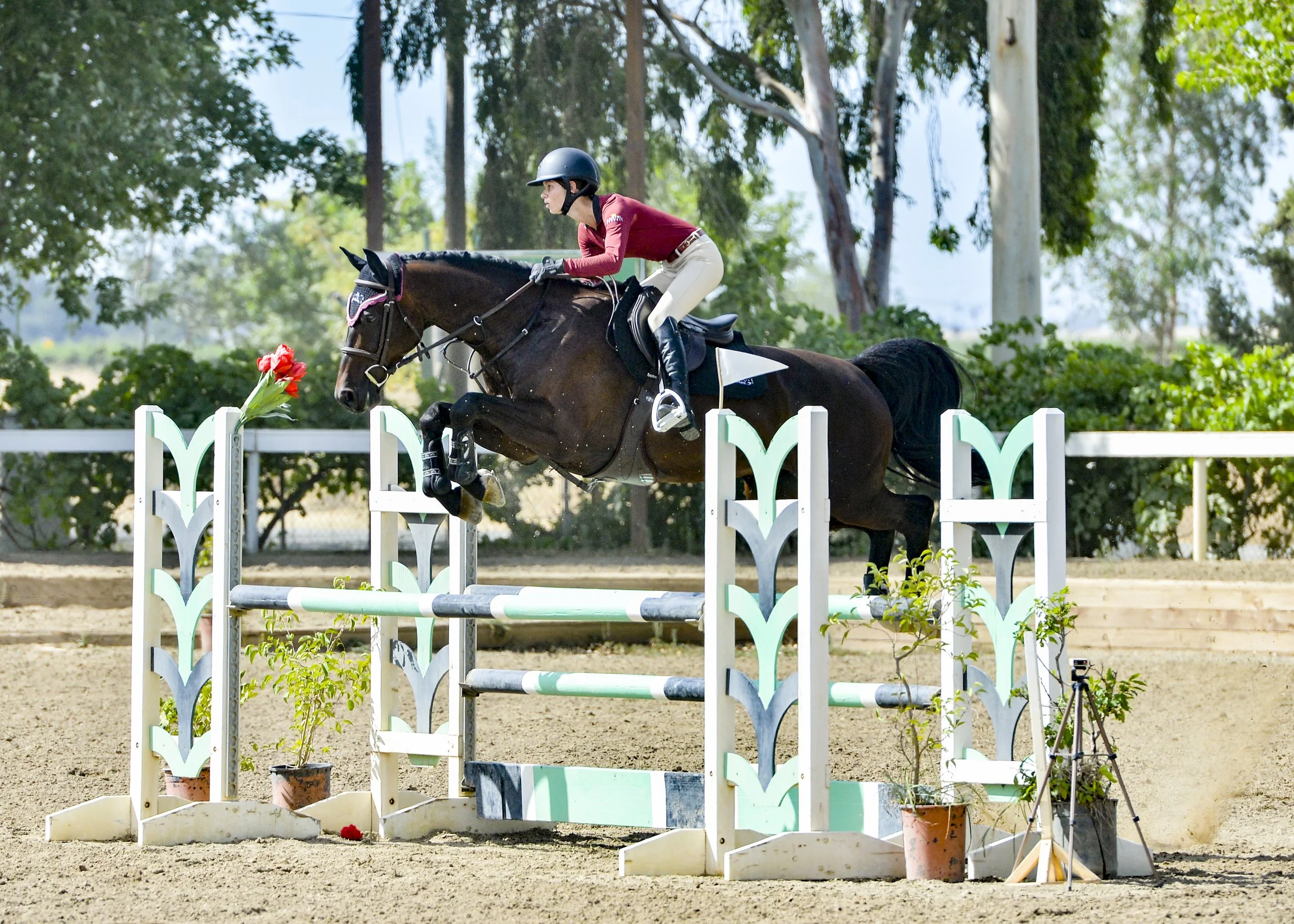 Ari Over Mint Green Oxer BRT_9510.jpg