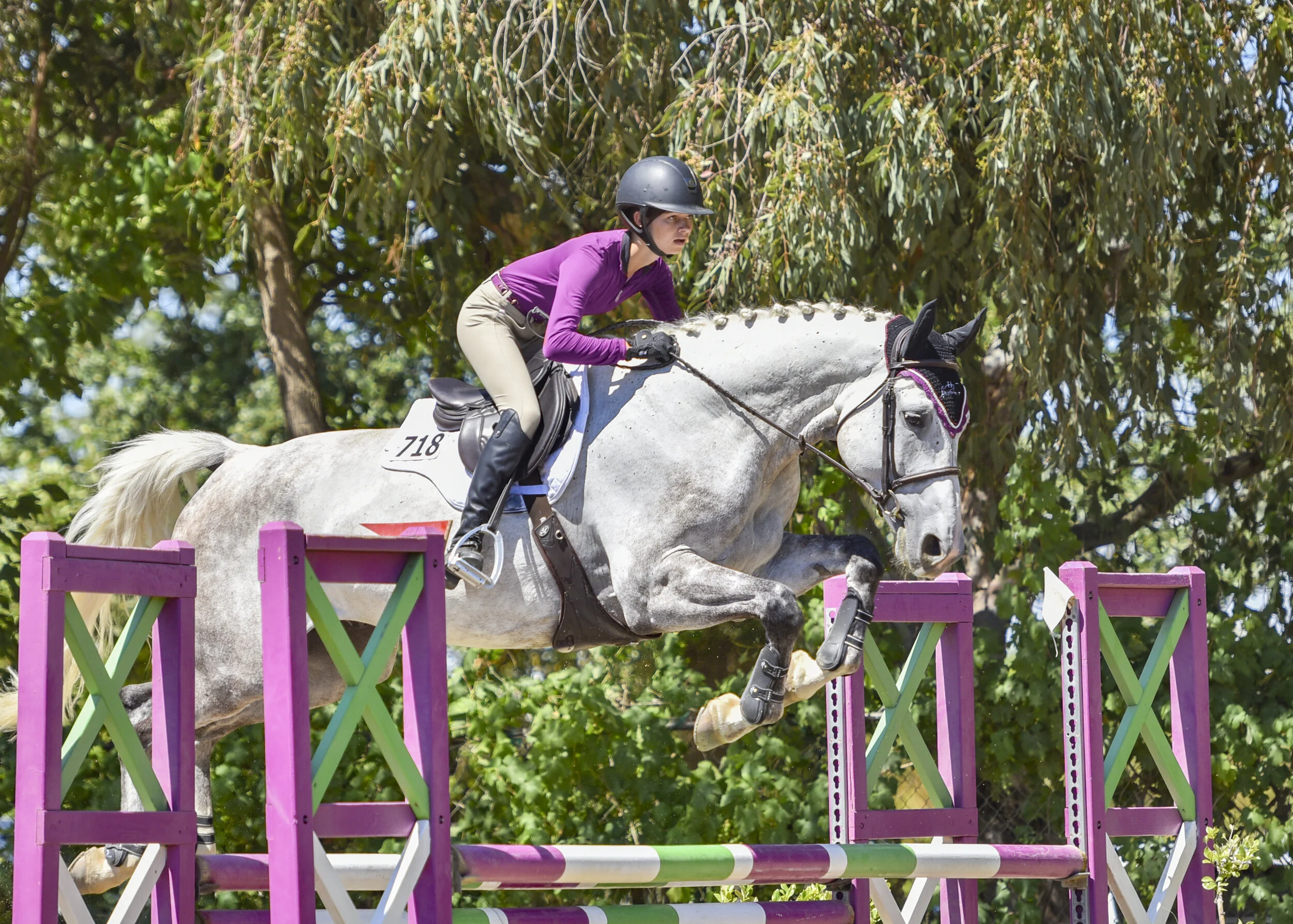 Northern Winter Classics IV Horse Show