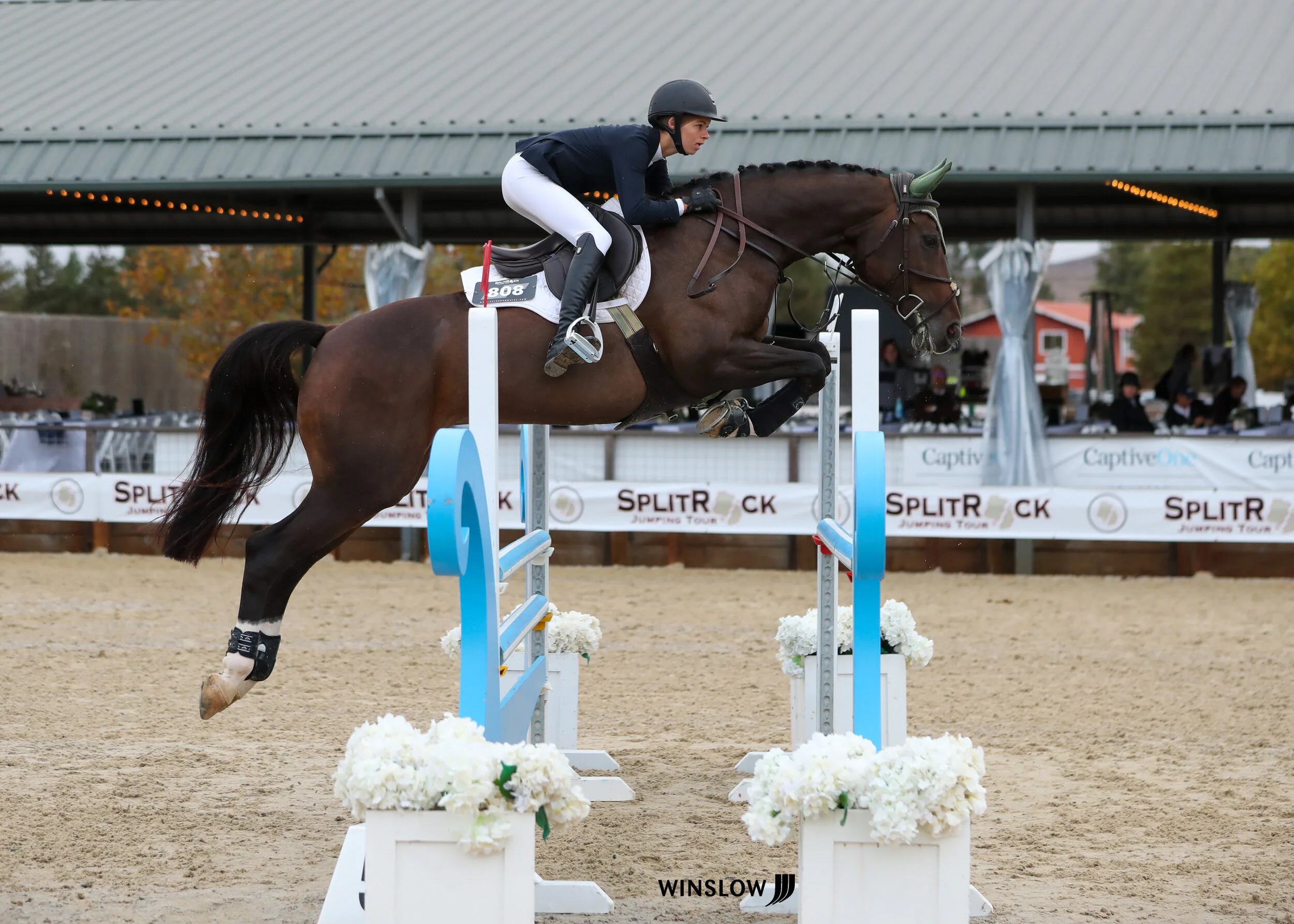 Sonoma International CSI 2*