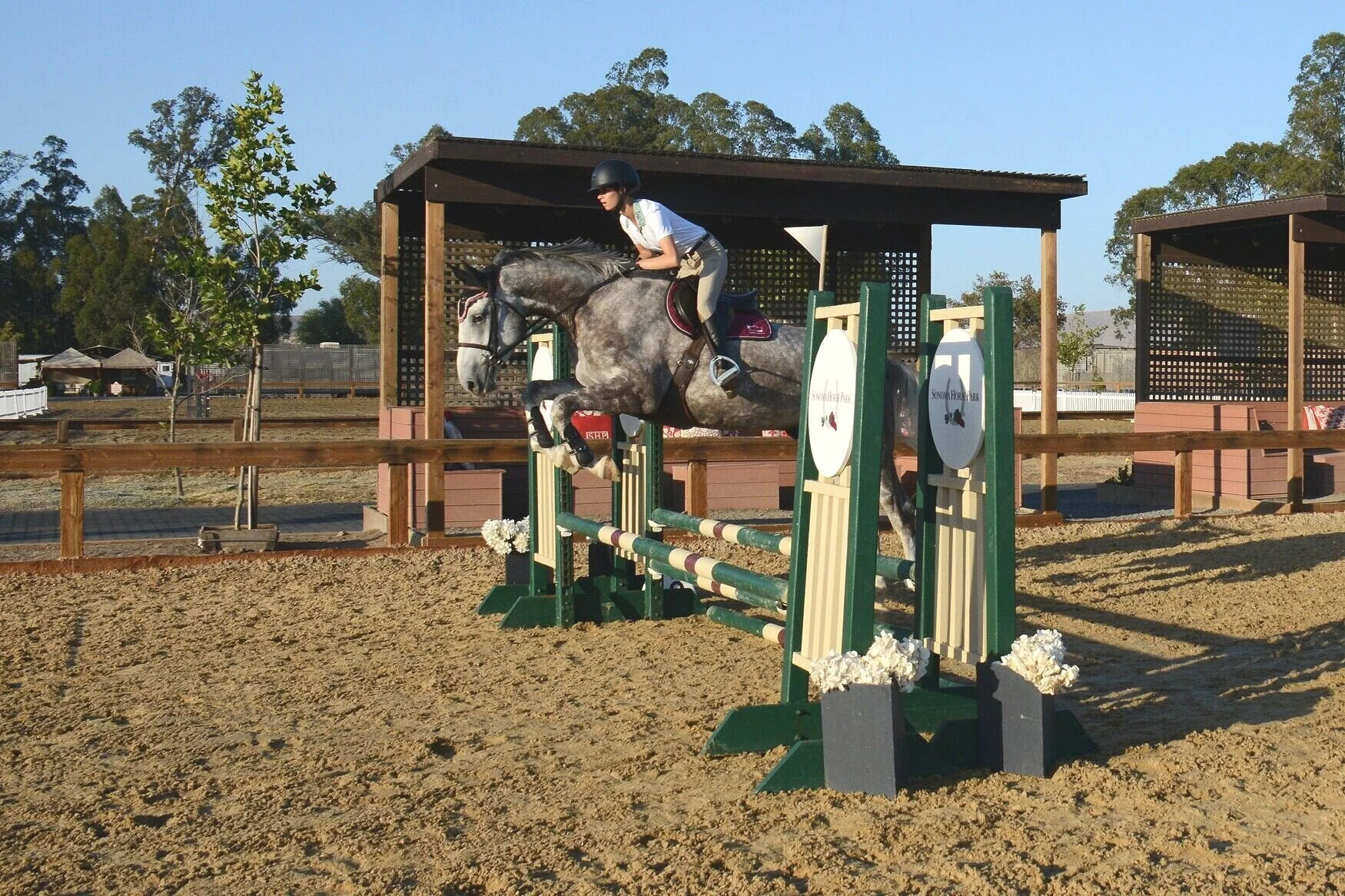 Don Jumping Sonoma Jump.jpeg