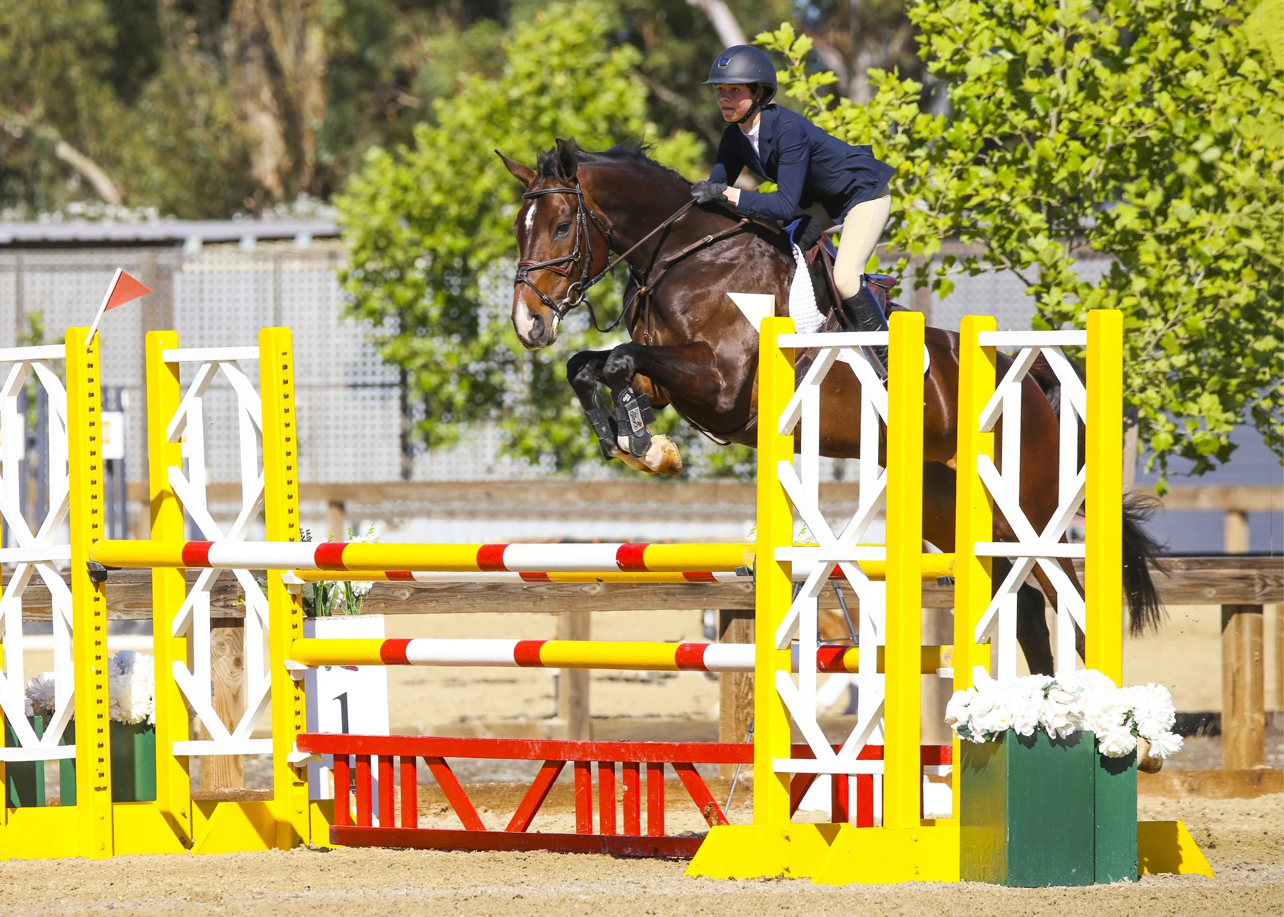 Off-Site Training Ride/Riding Lesson