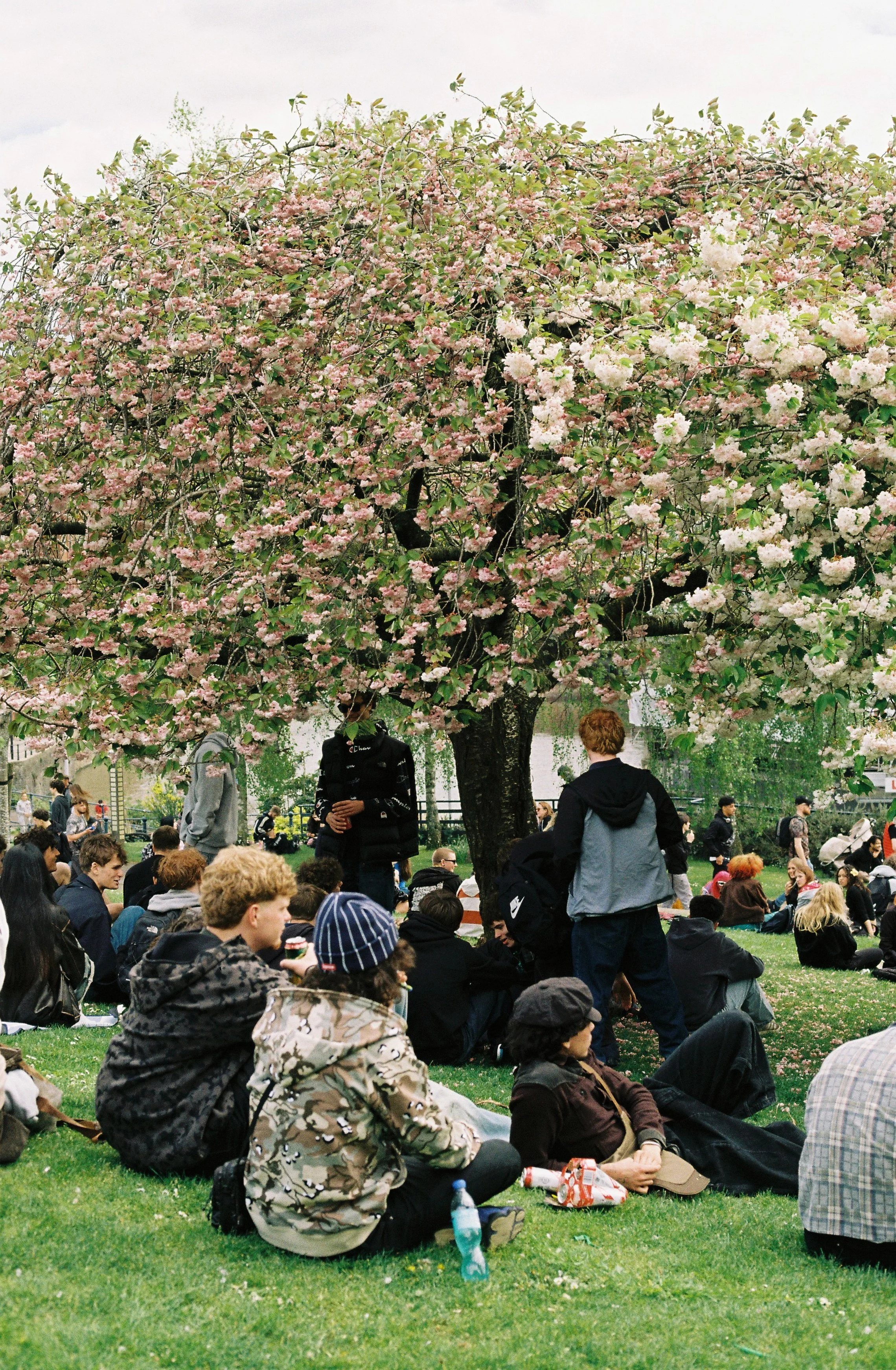 420 Bristol - 35mm Film Photography