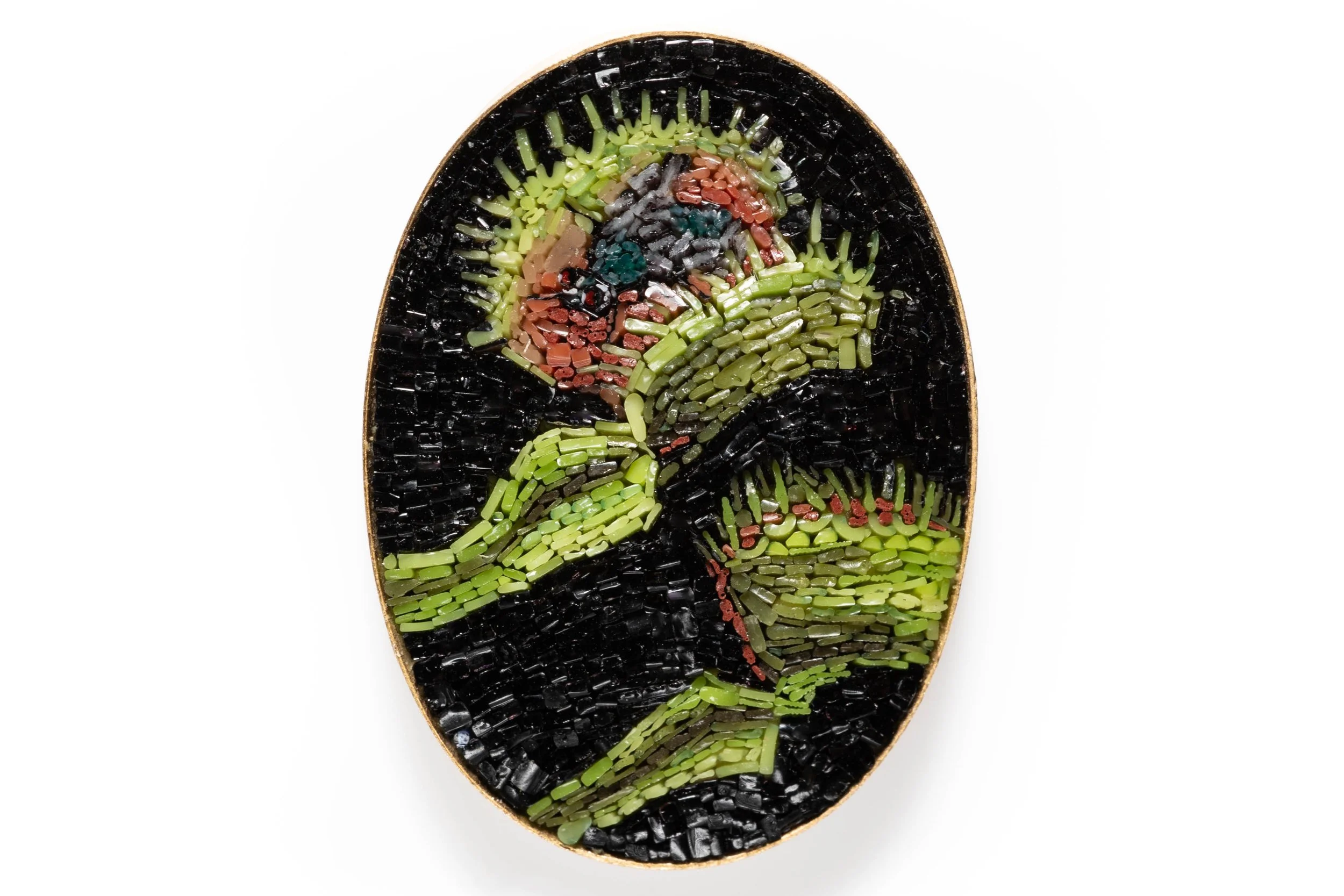 Micromosaic of Venus Flytrap - Closeup