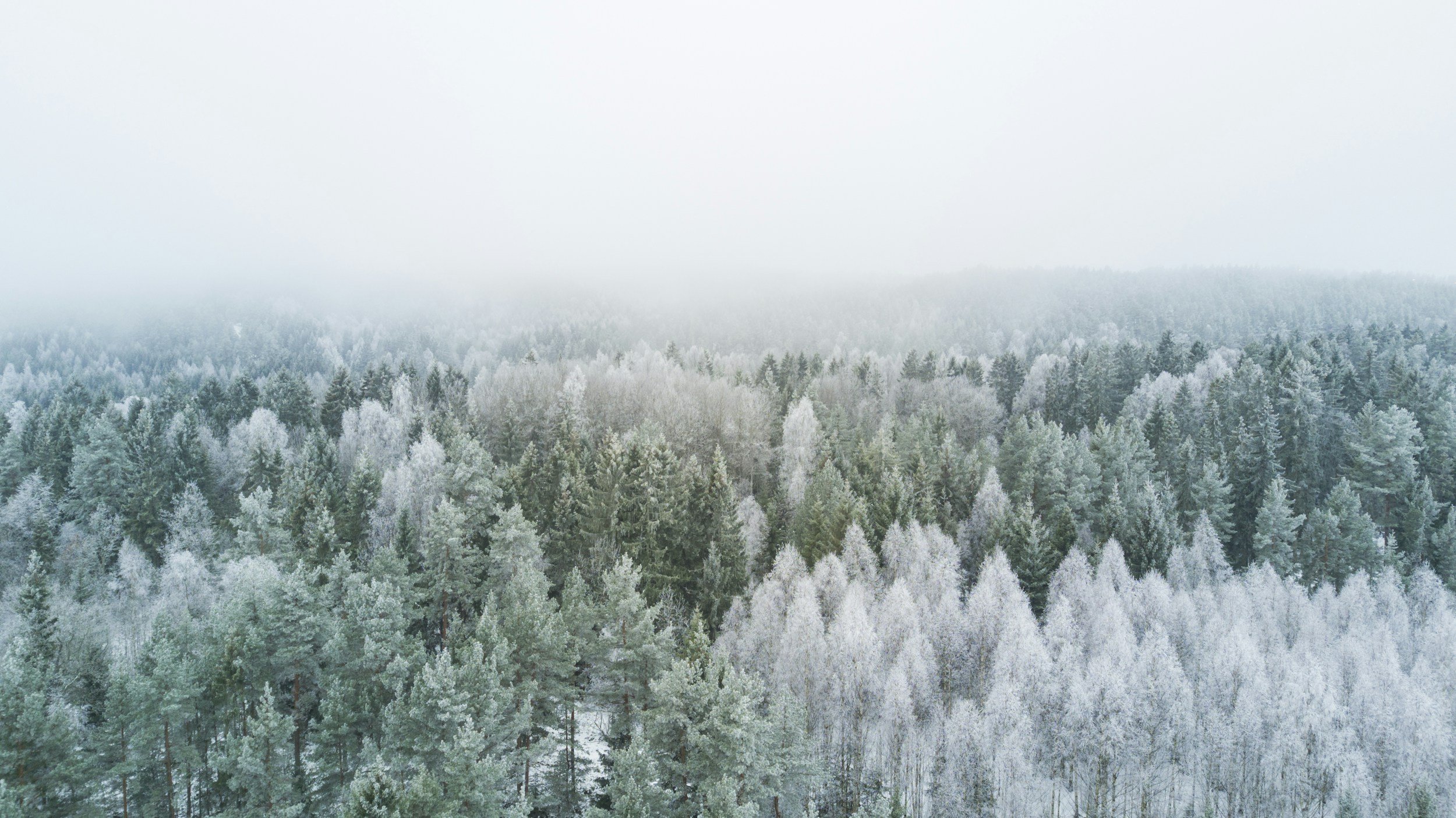 A Time for Quietude and Rest