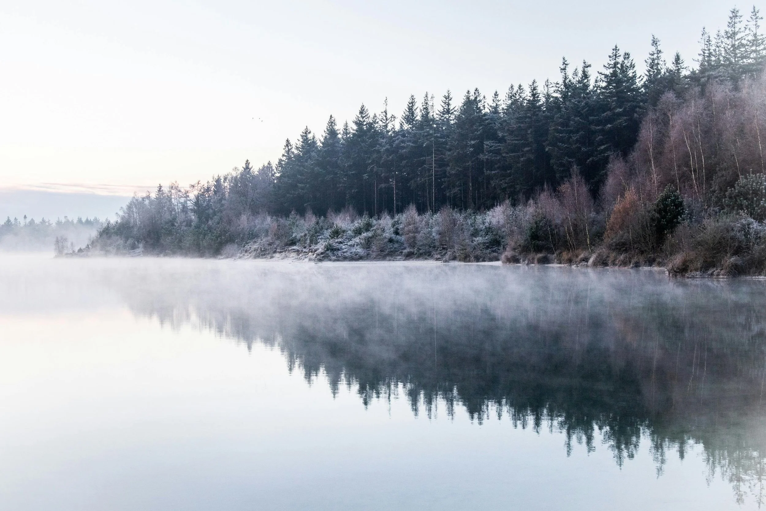 Winter Wellness, &amp; the Mind-Body Connection