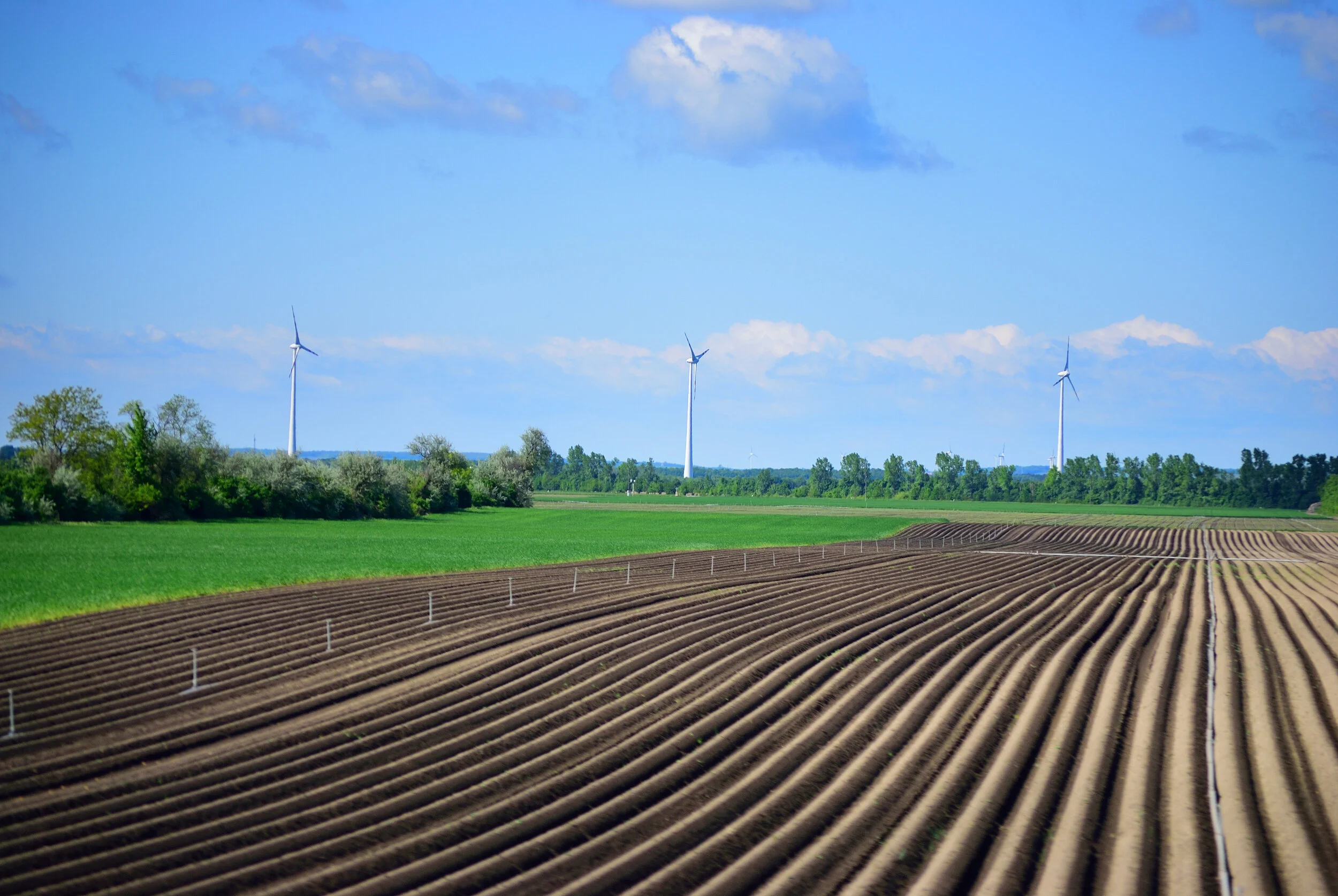 Renewable Colocation on Large Arable Farm