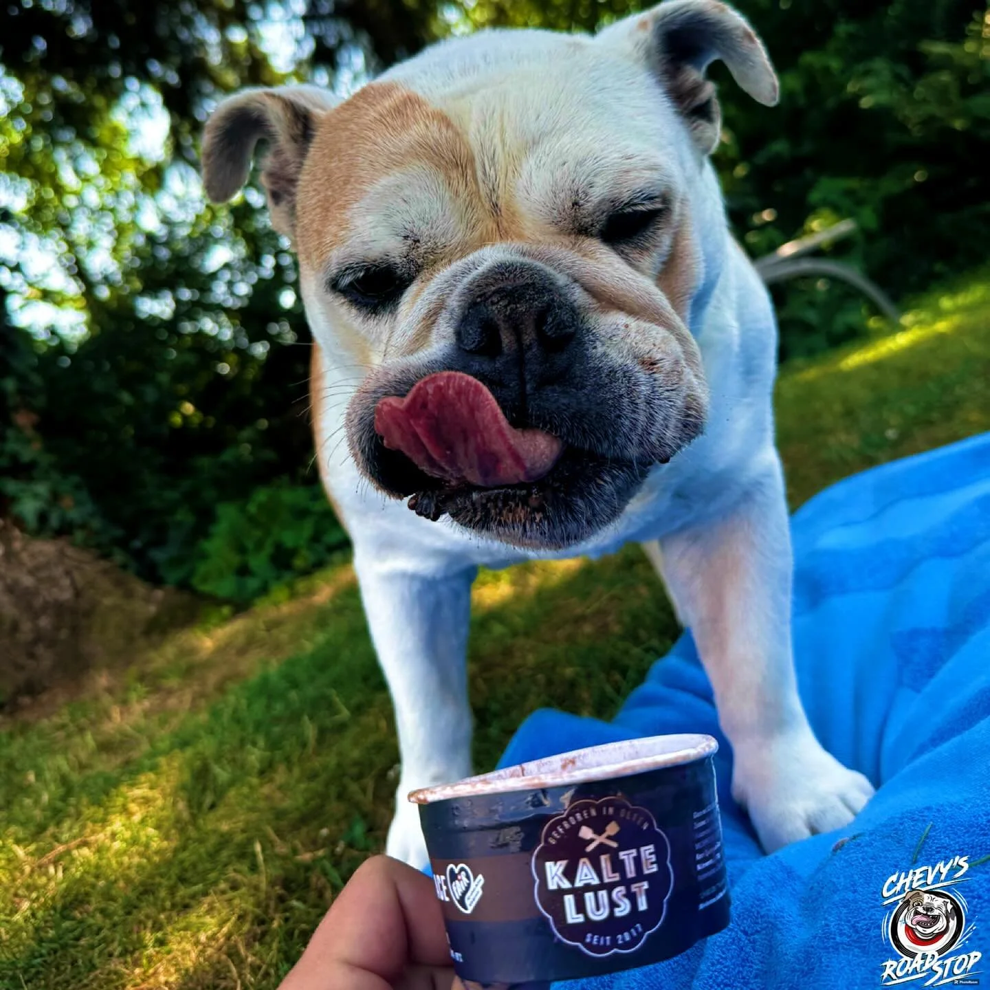 Perfekt f&uuml;r die kommenden 🌞 - Tage!
🍦
Ab sofort haben wir 4 leckere Sorten von KALTE LUST im Sortiment.
.
#madeinswitzerland🇨🇭
#leckmich😋
@kalte_lust