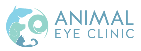 Animal Eye Clinic