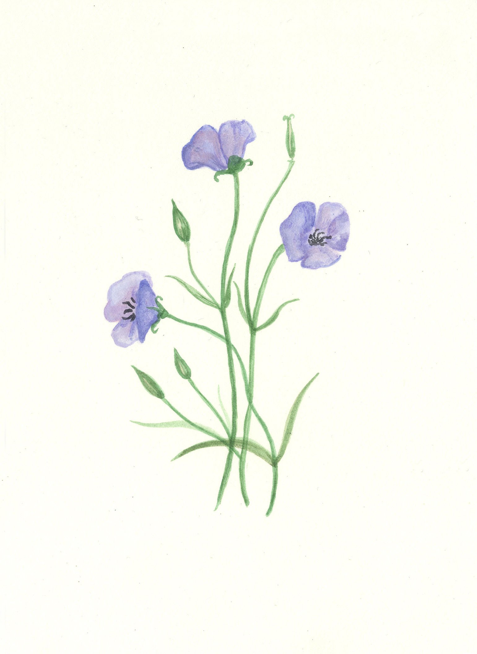 flower25.jpg