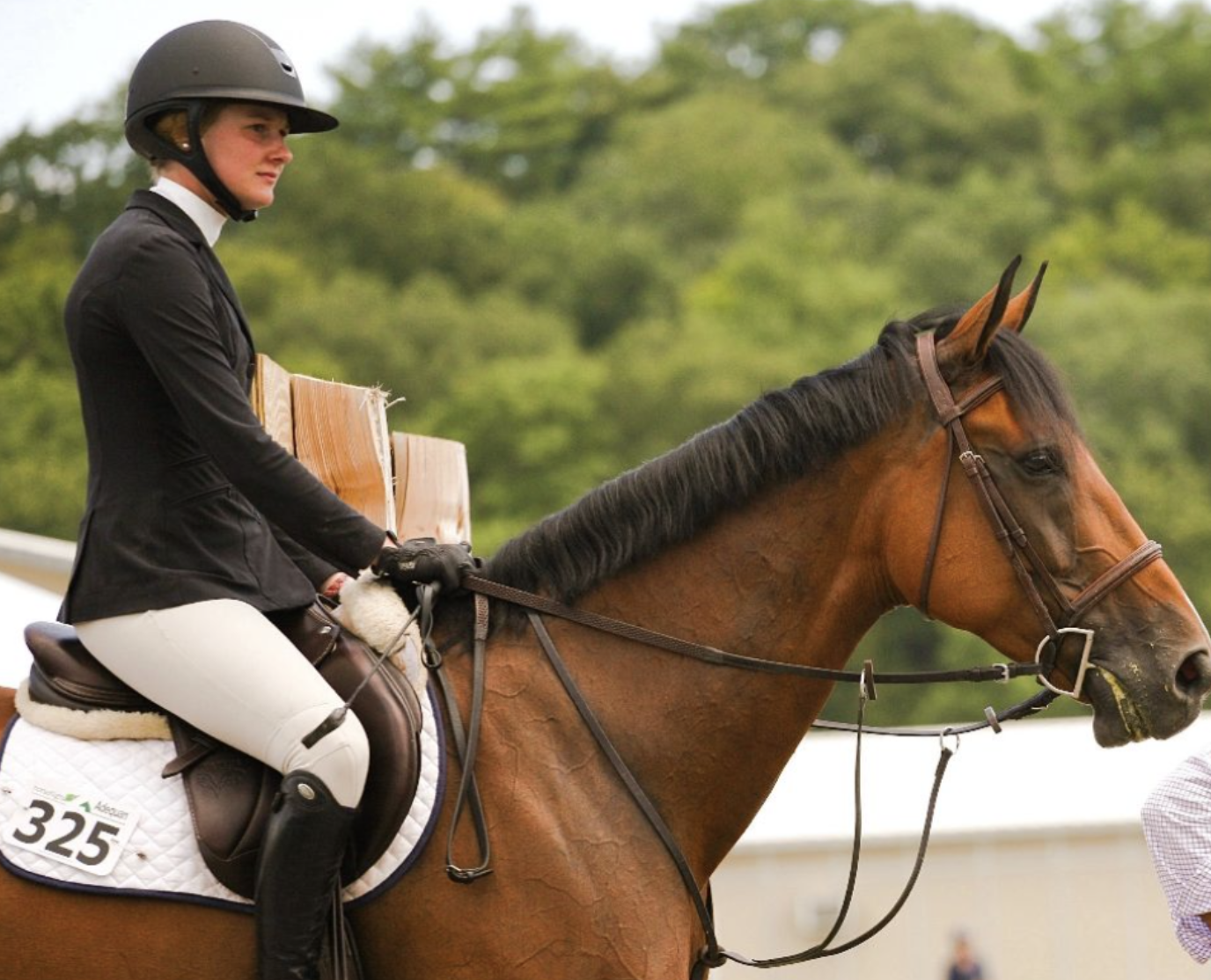 IHSA Announces Results for Its Inaugural Online Horse Show, powered by DigitalHorseShow.com
