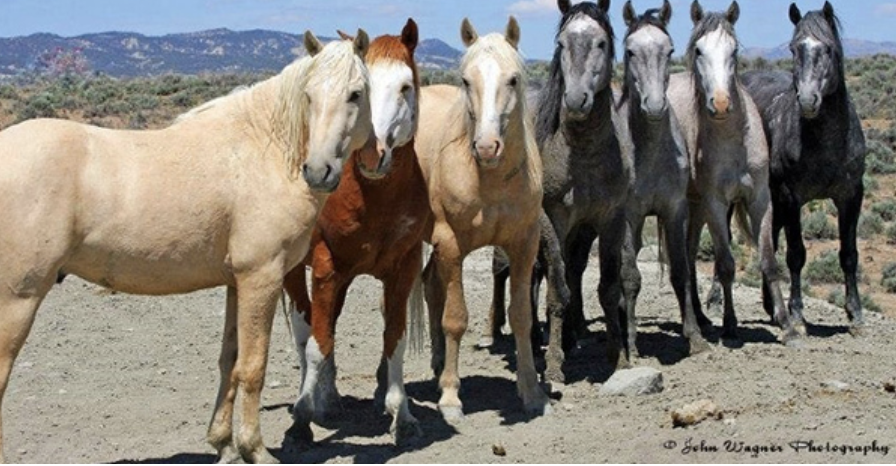 The EQLiving Design Issue is Here