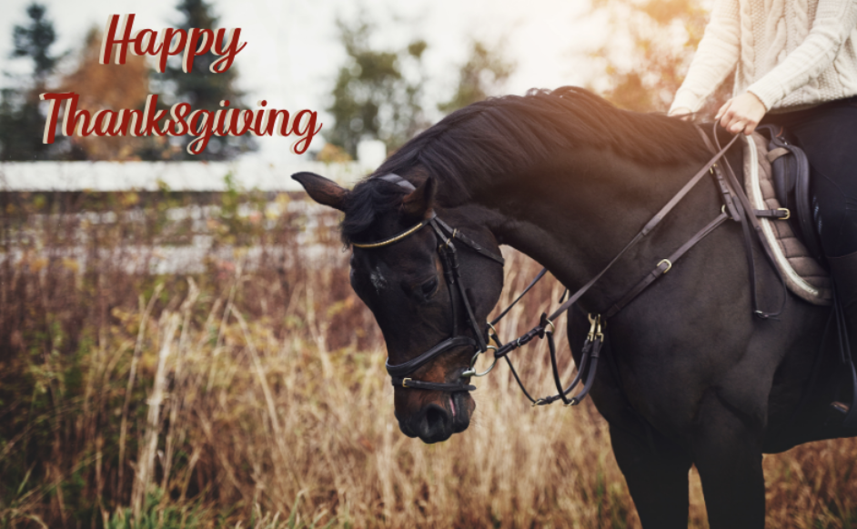 So Much to Be Thankful For! | ShowAssist Weekly Update